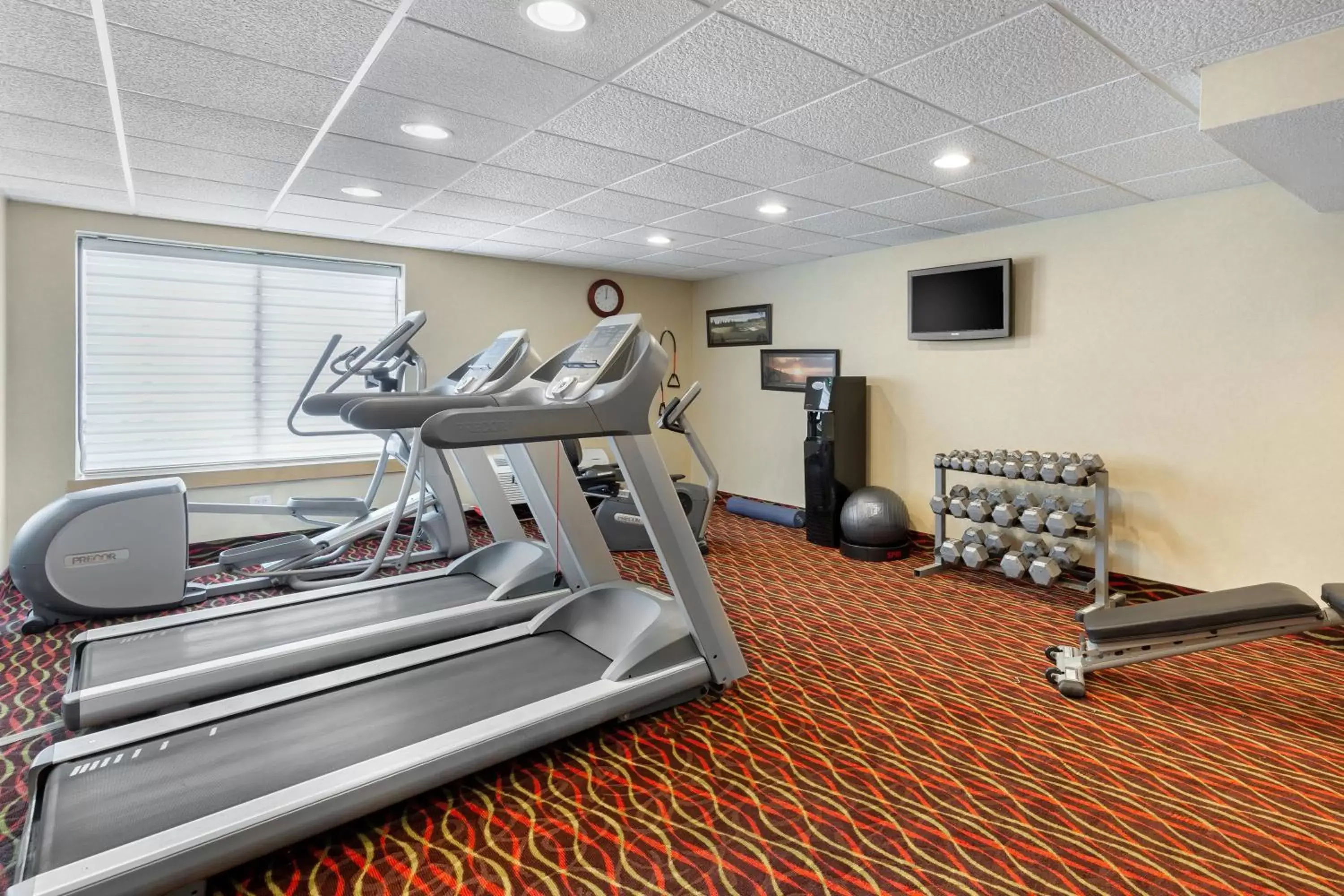 Spa and wellness centre/facilities, Fitness Center/Facilities in Holiday Inn Express Chicago-Downers Grove, an IHG Hotel
