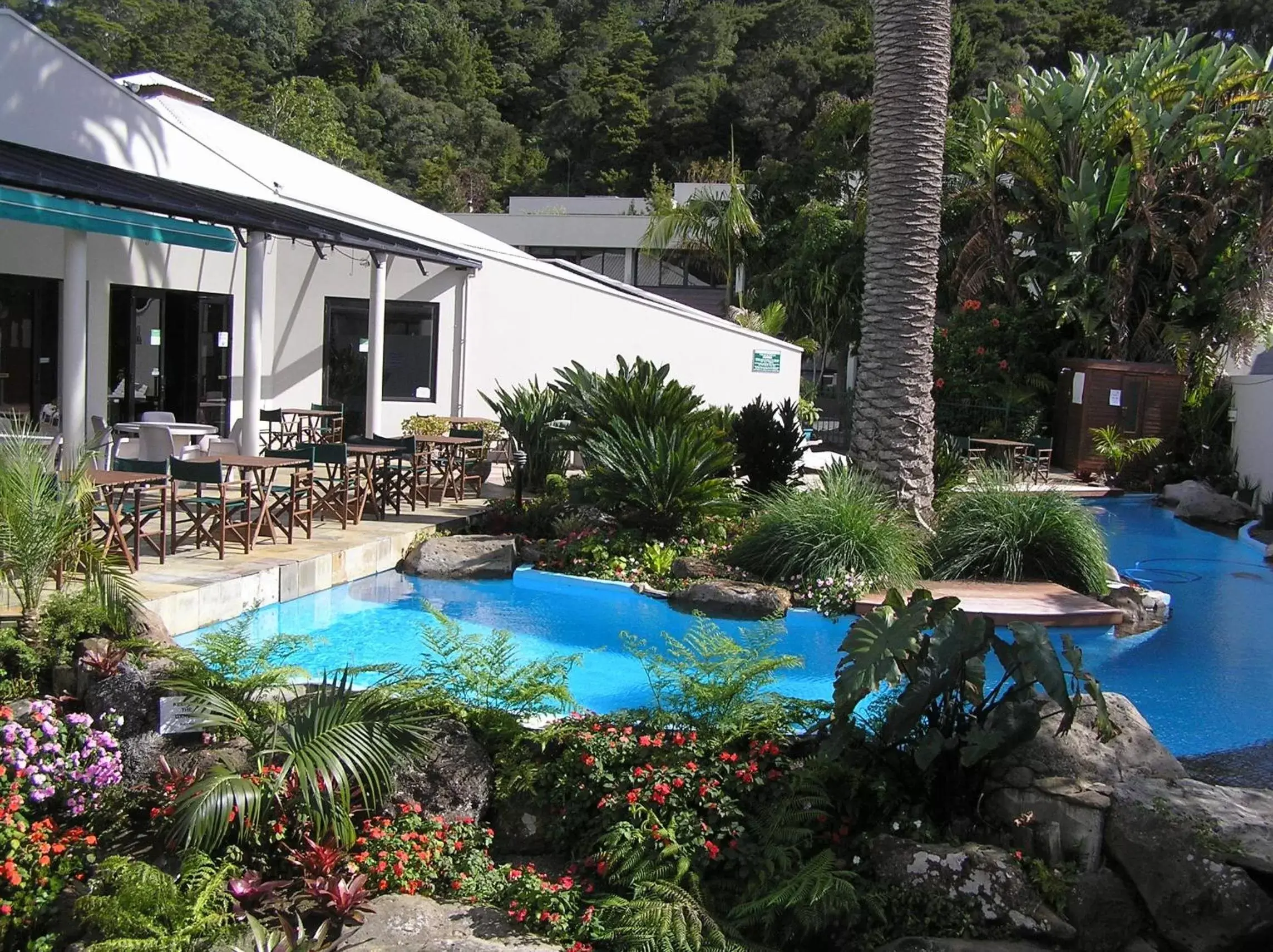 Swimming Pool in Paihia Pacific Resort Hotel
