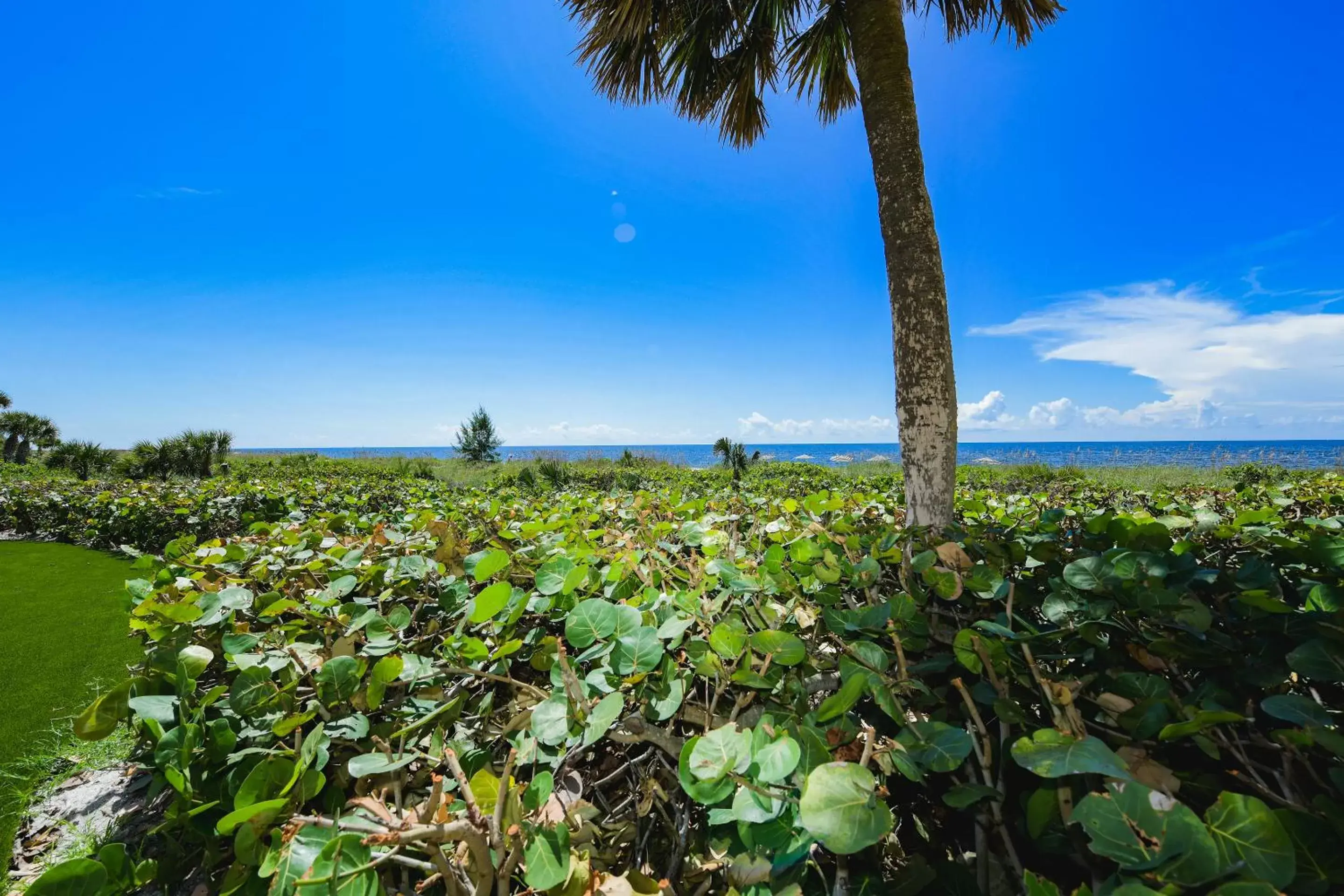 Casey Key Resorts - Beachfront