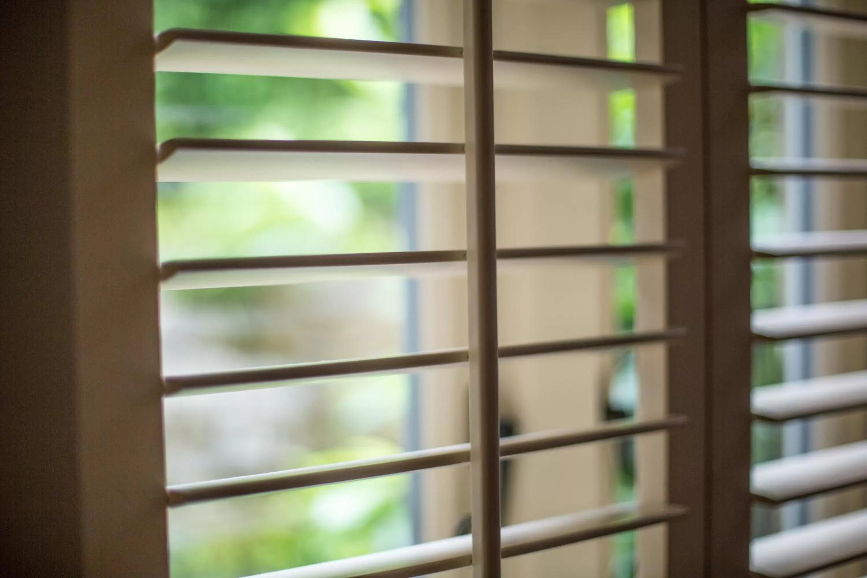 View (from property/room) in Robin Hood Farm B&B