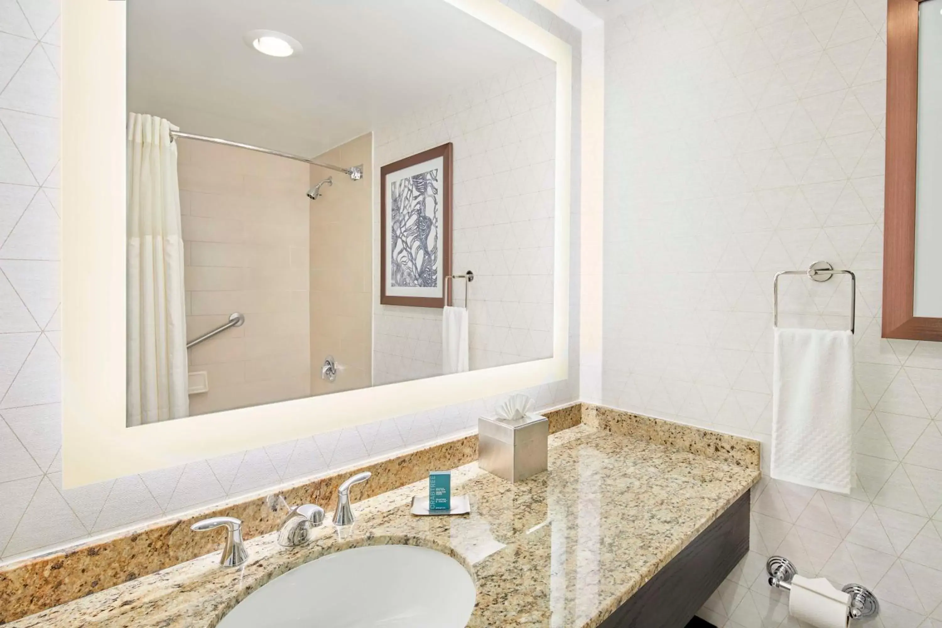 Bathroom in DoubleTree by Hilton Atlanta/Roswell - Alpharetta Area