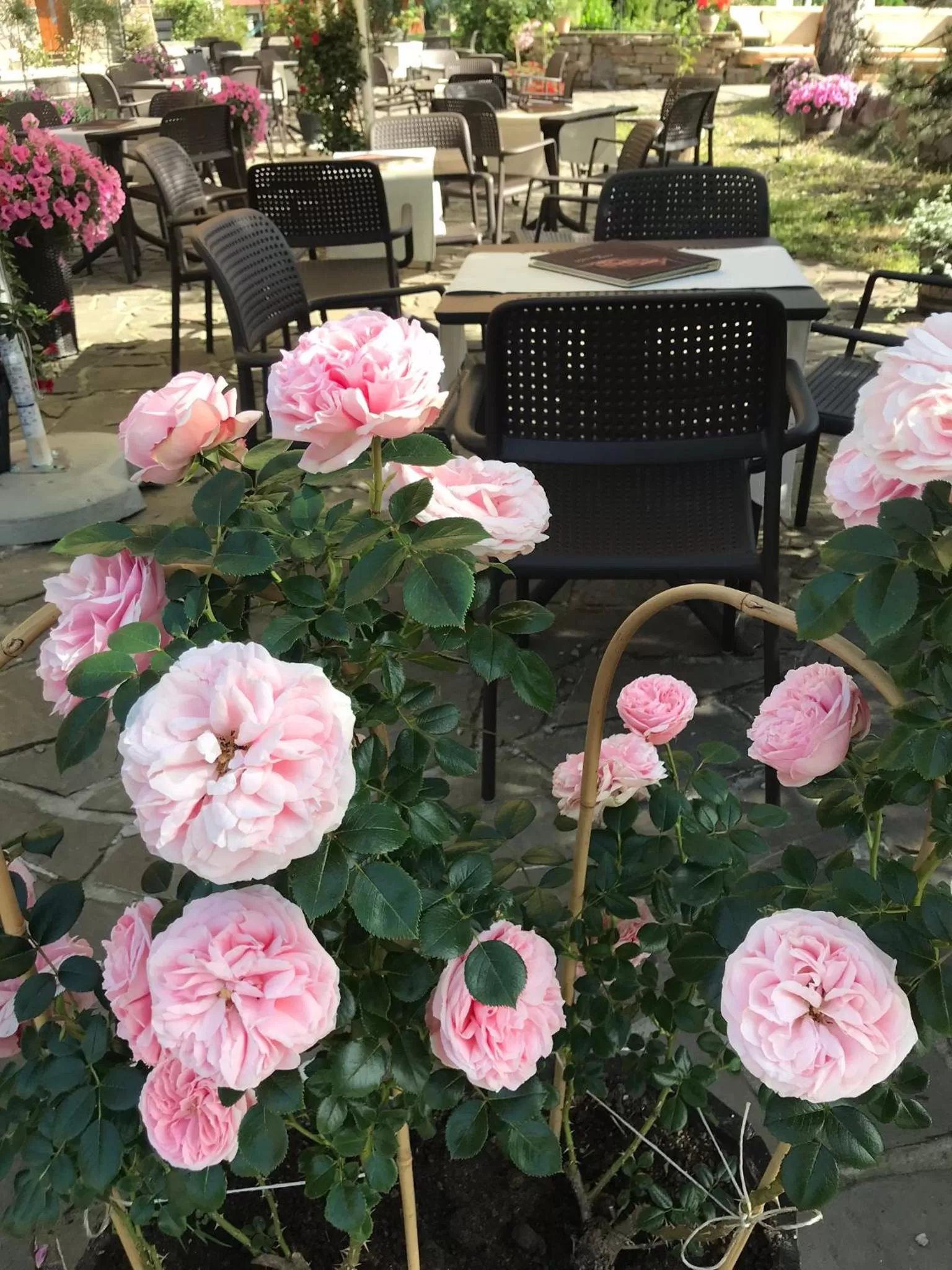 Restaurant/places to eat in Zajazd Białczański Dom Wypoczynkowy Restauracja