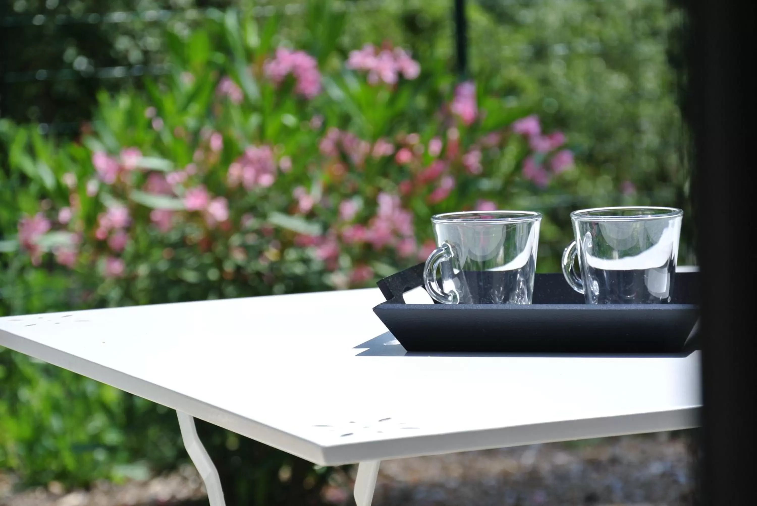 CARPE DIEM Résidence Hôtelière