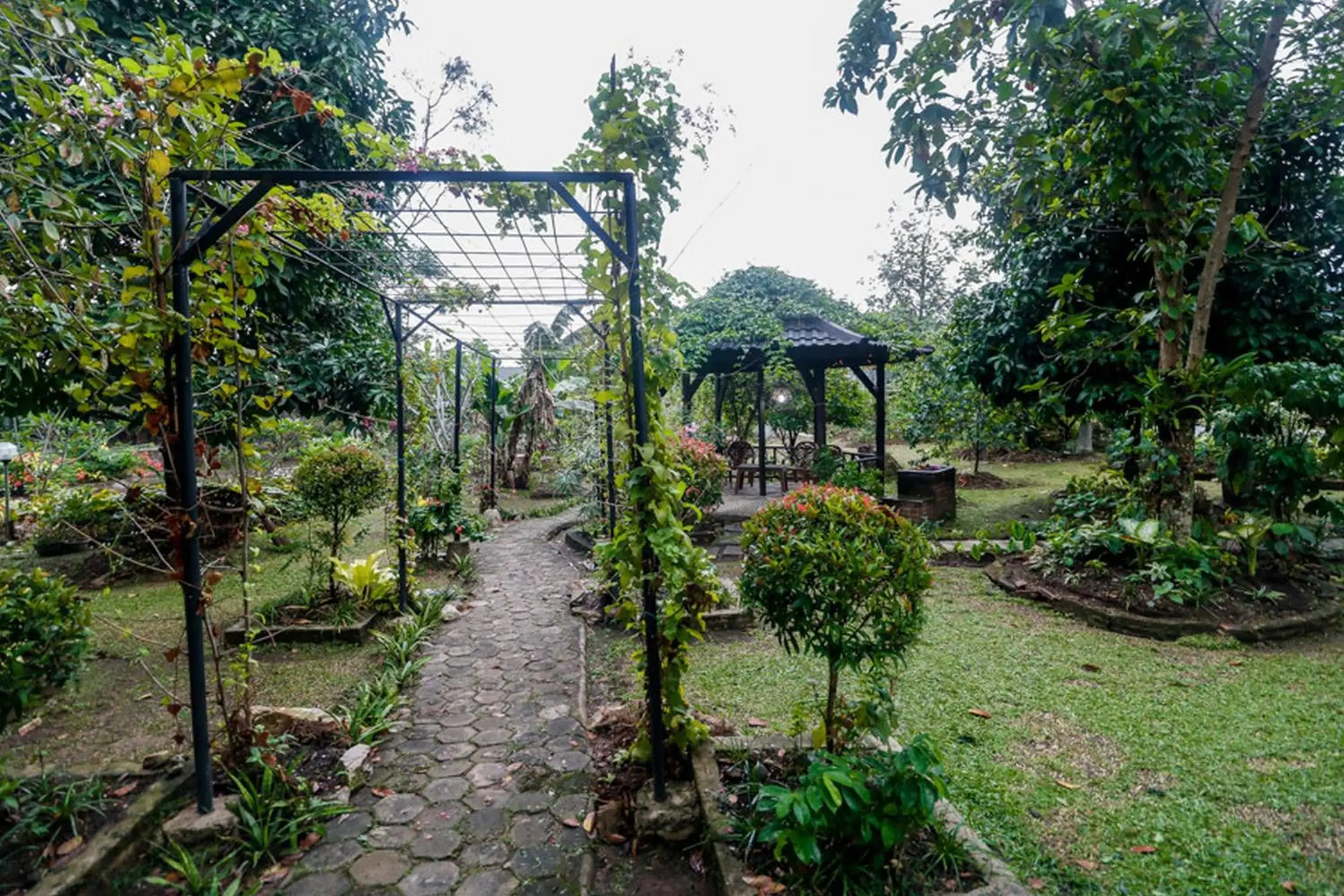 Garden in RedDoorz Syariah @ Lampung Walk