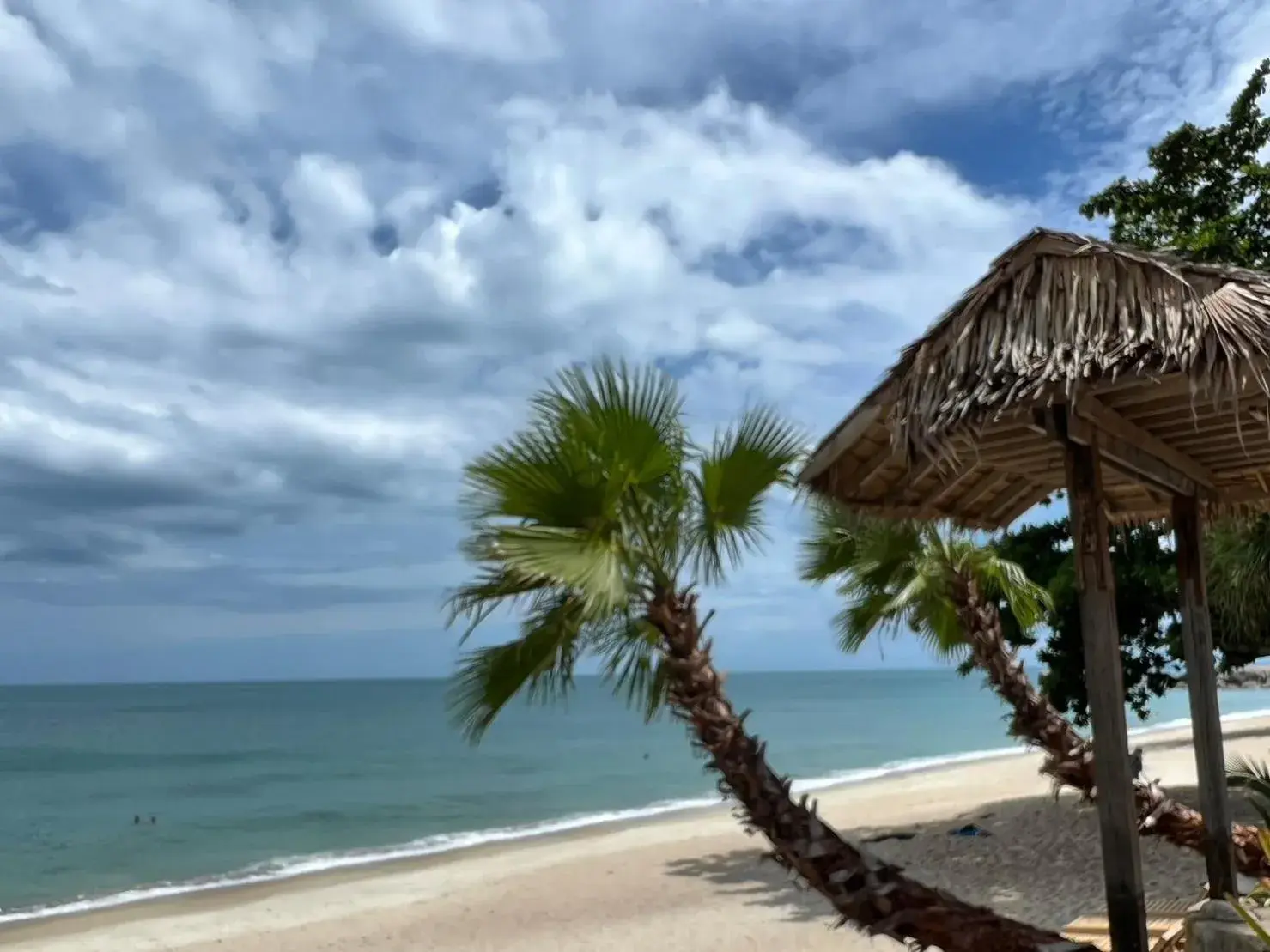 Property building, Beach in Amity resort & Beach cafe