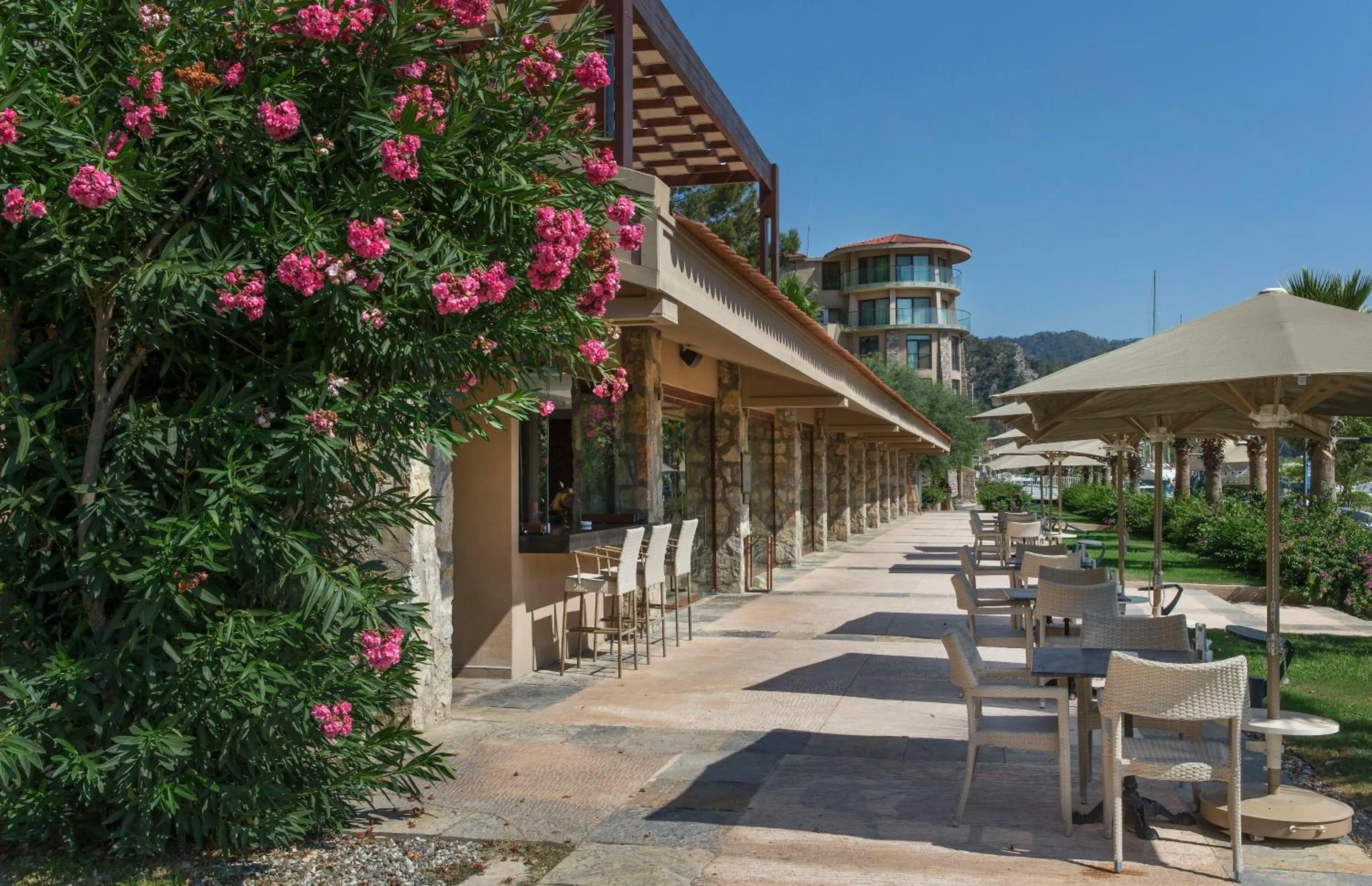 Continental breakfast in Marti Hemithea Hotel