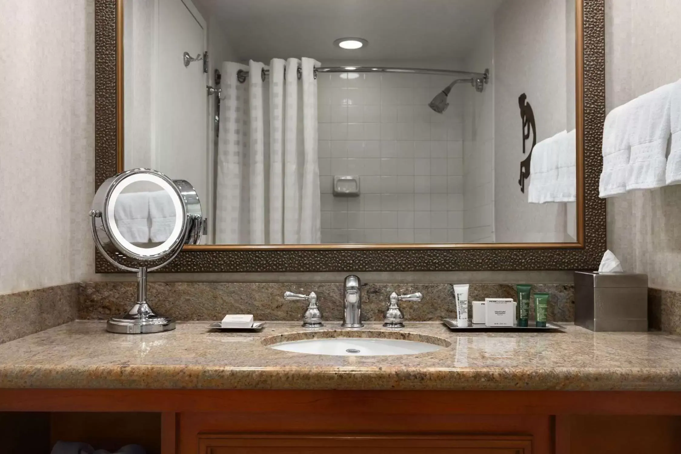 Bathroom in Hilton Phoenix Airport Bathroom in Hilton Phoenix Airport