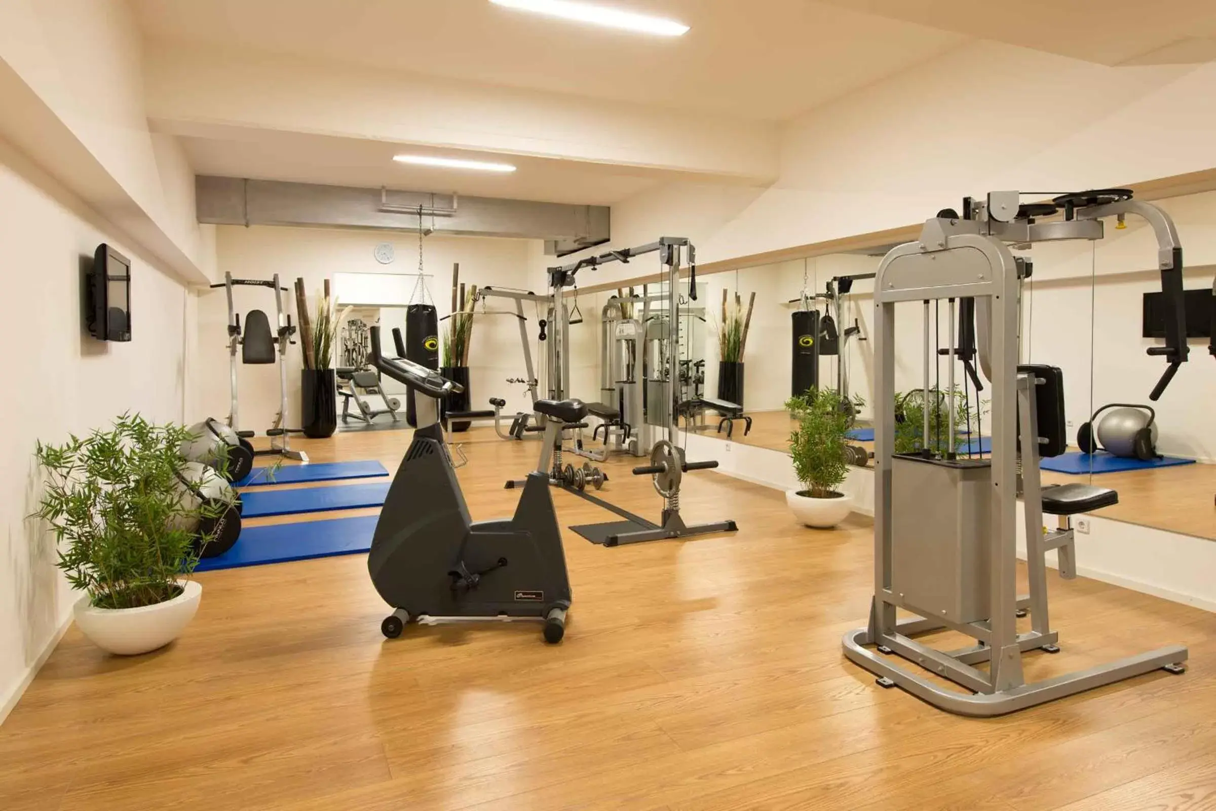 Fitness centre/facilities, Fitness Center/Facilities in Leonardo Royal Hotel Mannheim