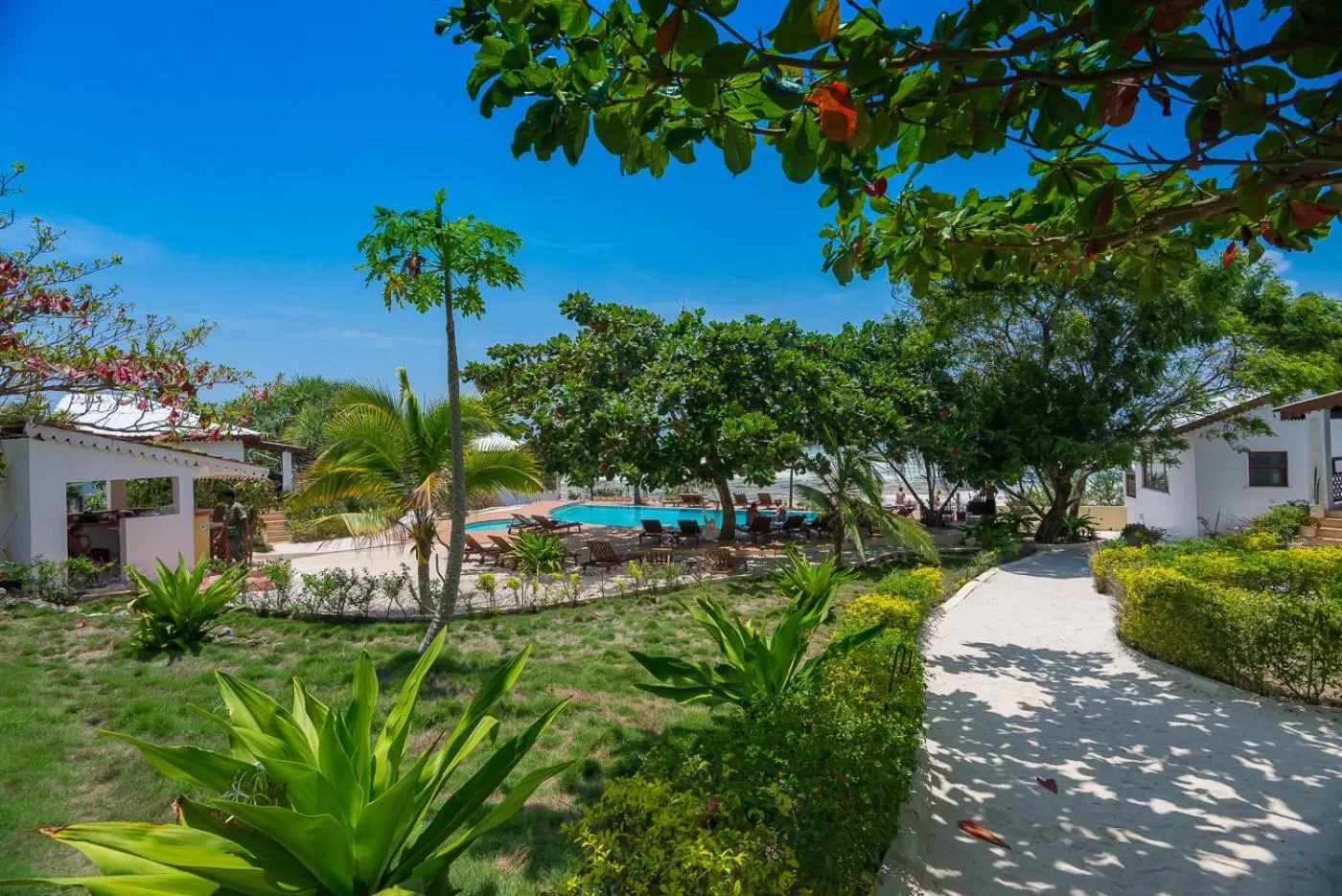 Garden in Warere Beach