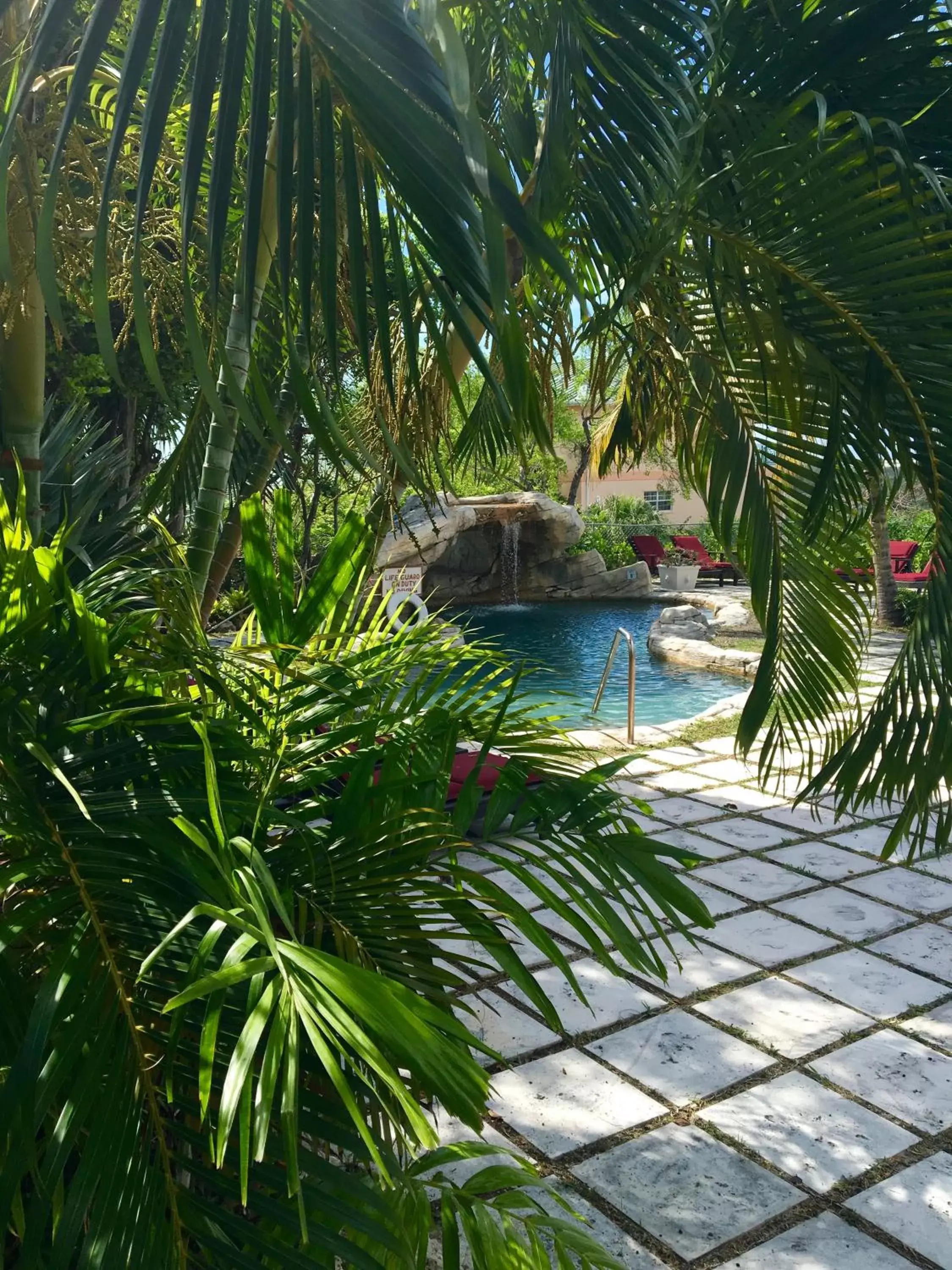 Garden view, Natural Landscape in A Stone's Throw Away