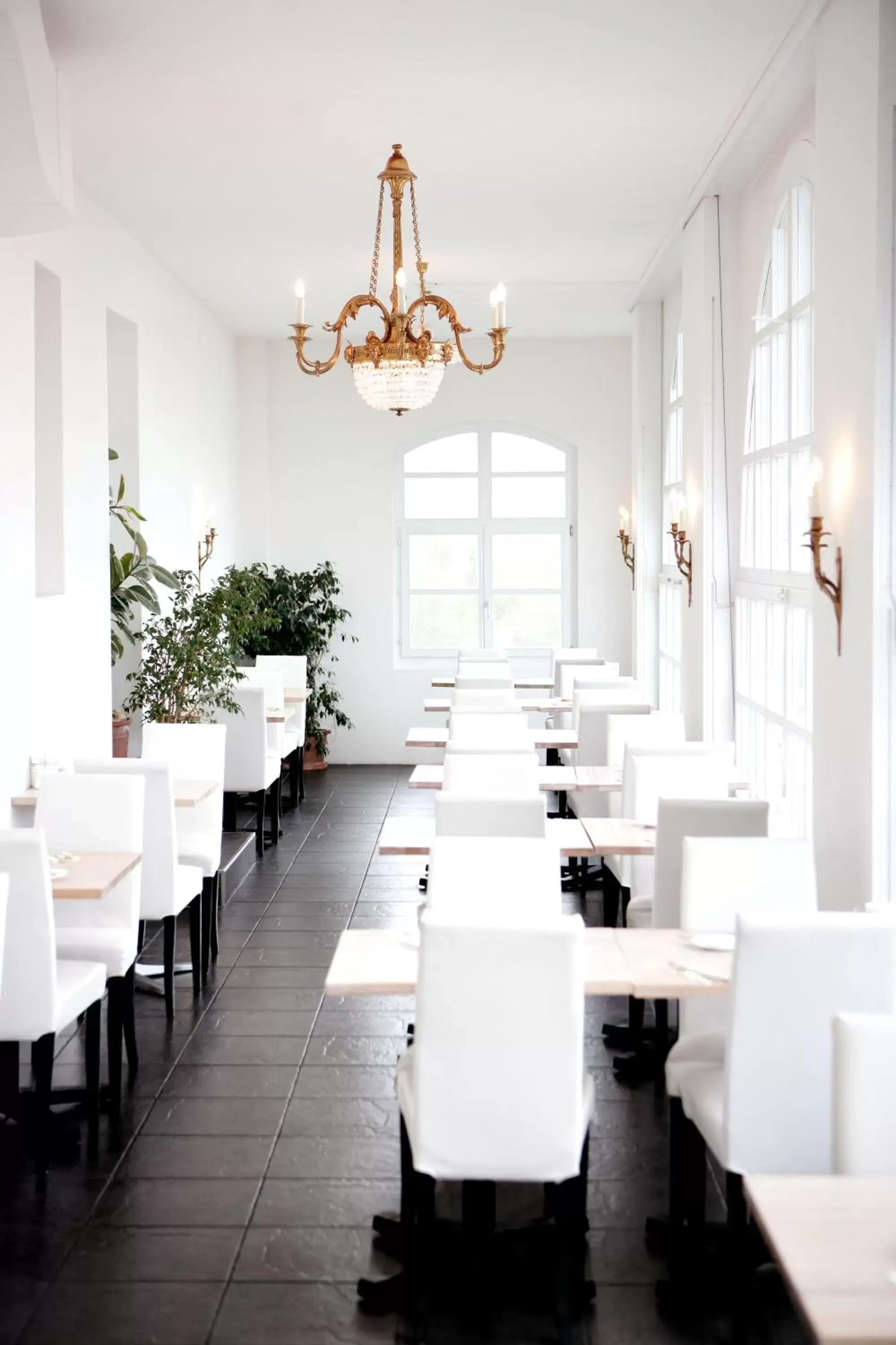 Restaurant/Places to Eat in Hotel Murtenhof & Krone