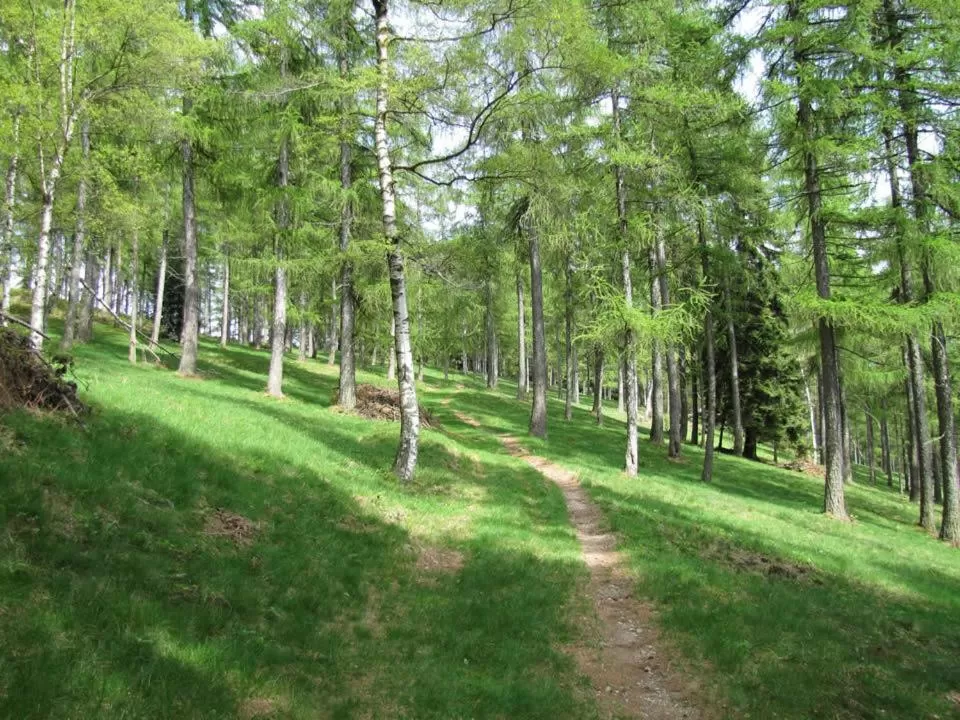 Hiking in B&B Villa Tavallini