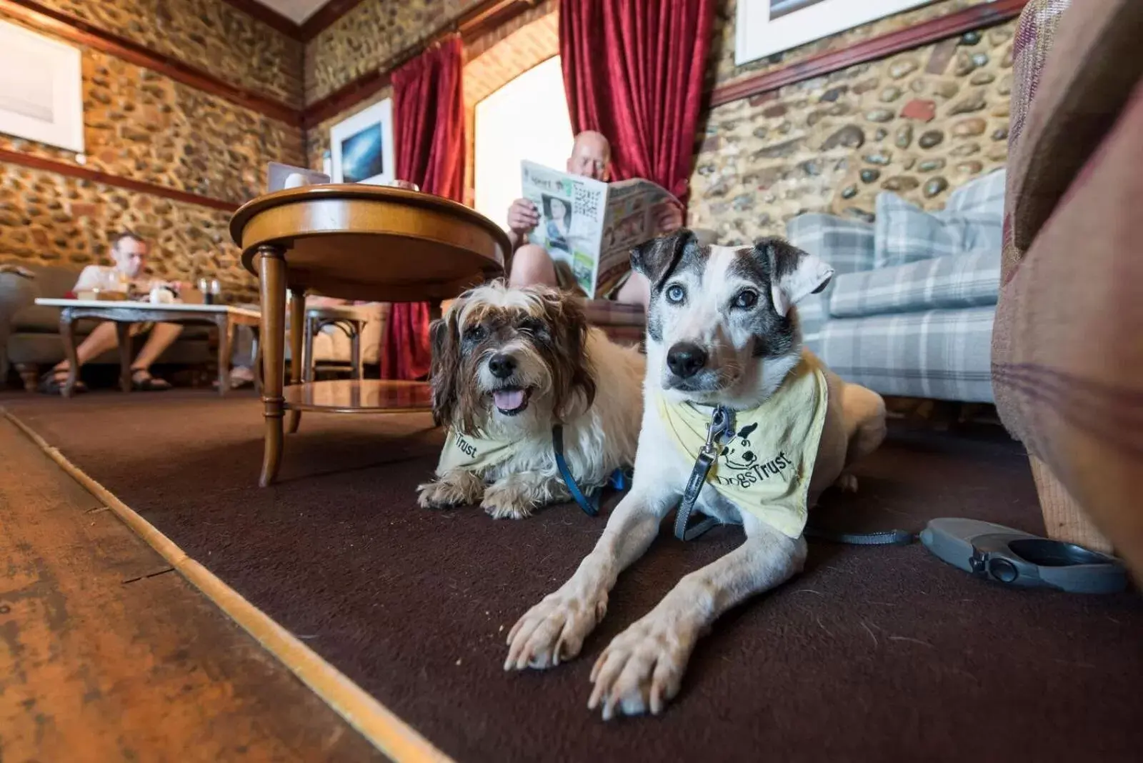 Restaurant/places to eat, Pets in The Red Lion Hotel