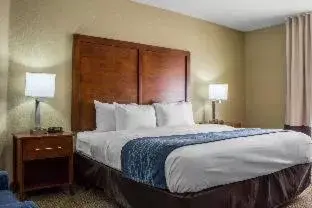 Bed in Comfort Inn & Suites North Glendale and Peoria