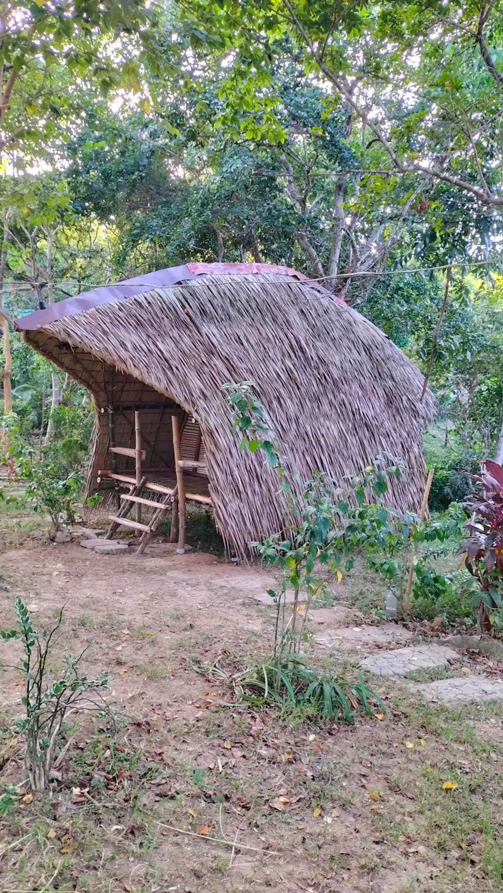 Property building in Erlittop Garden Eco Lodge