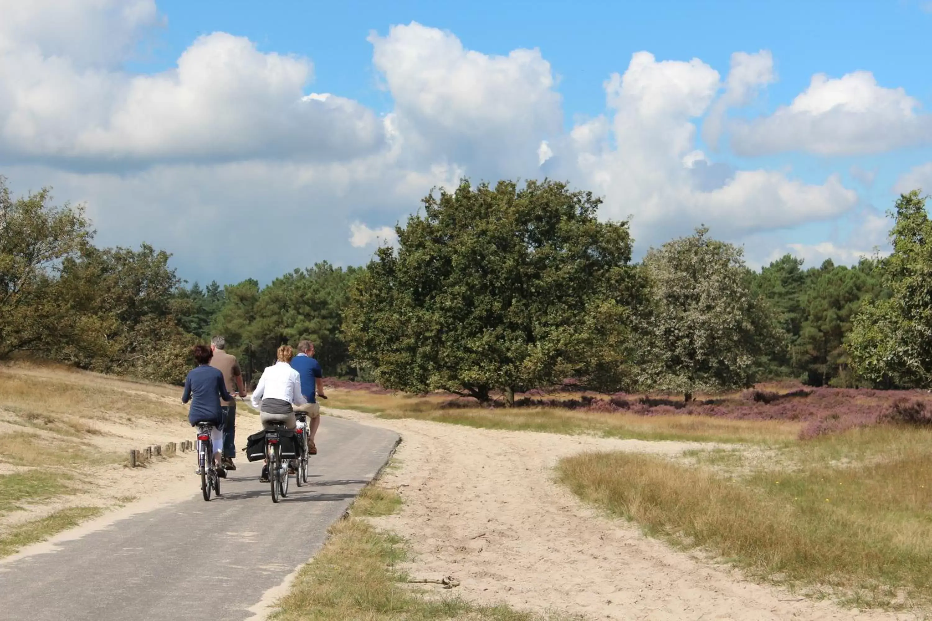 Cycling, Biking in Natuurpoort van Loon