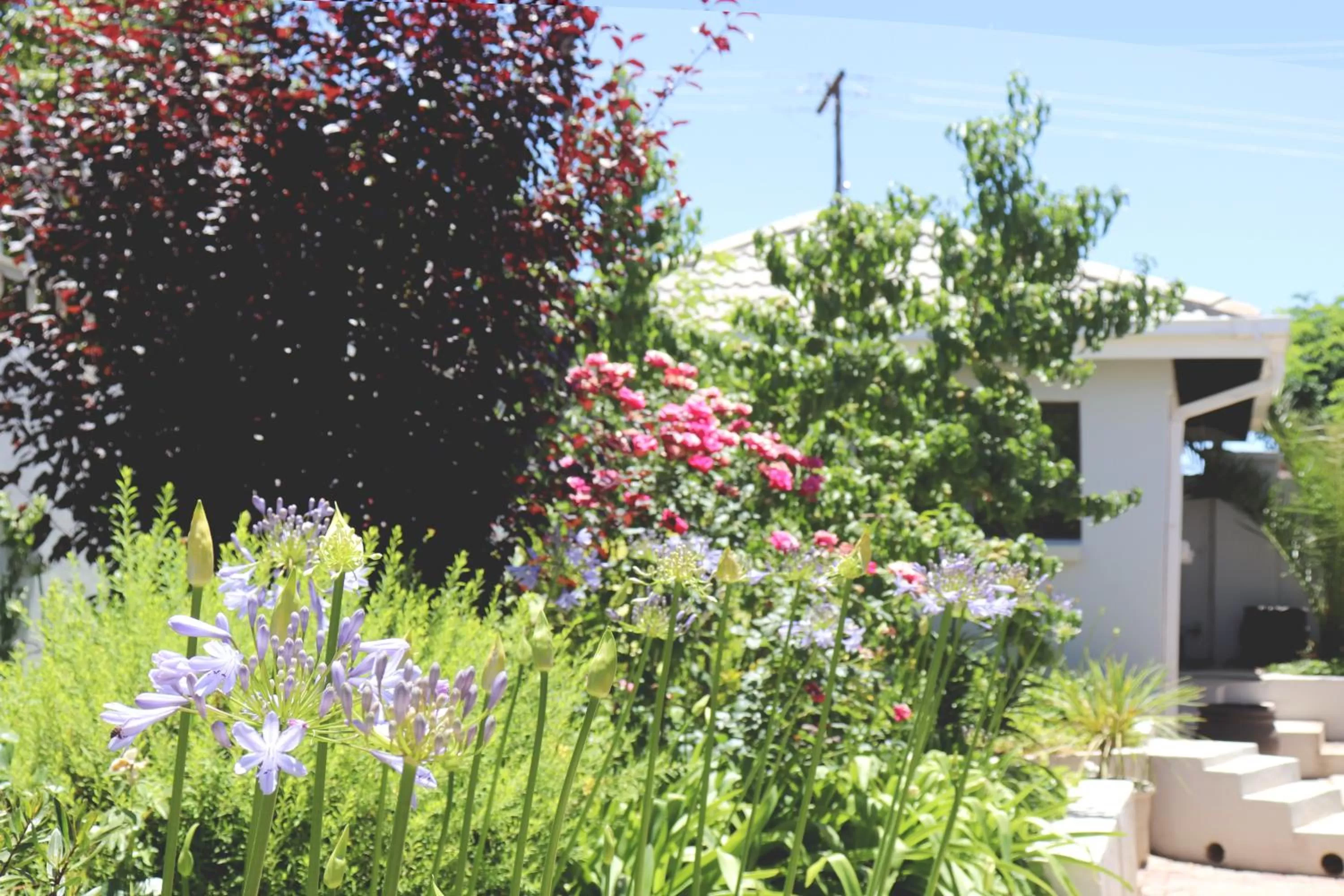 Garden in Tribute Guest House Matala