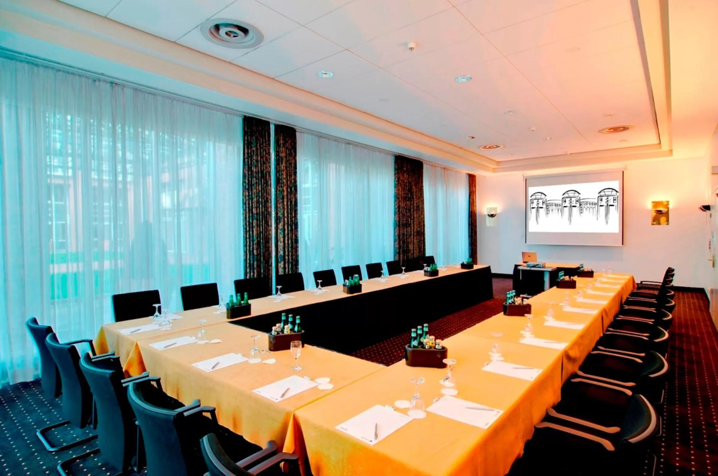 Business facilities in Radisson Blu Senator Hotel, Lübeck