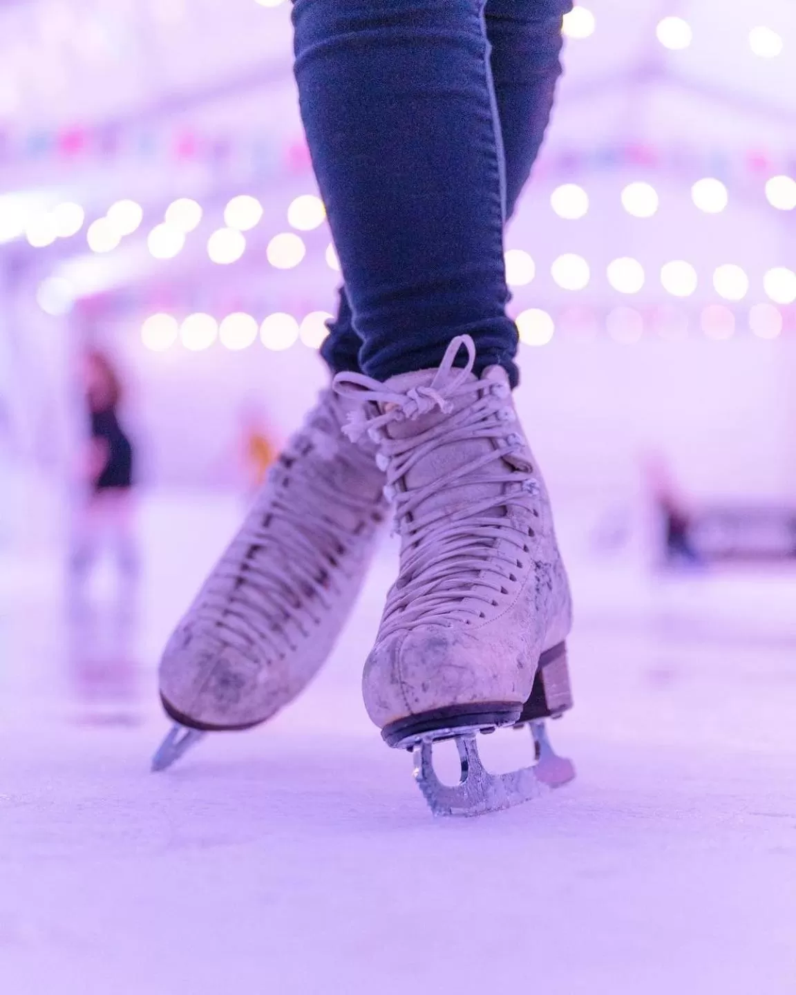 Area and facilities in Candlewood Suites - Safety Harbor by IHG