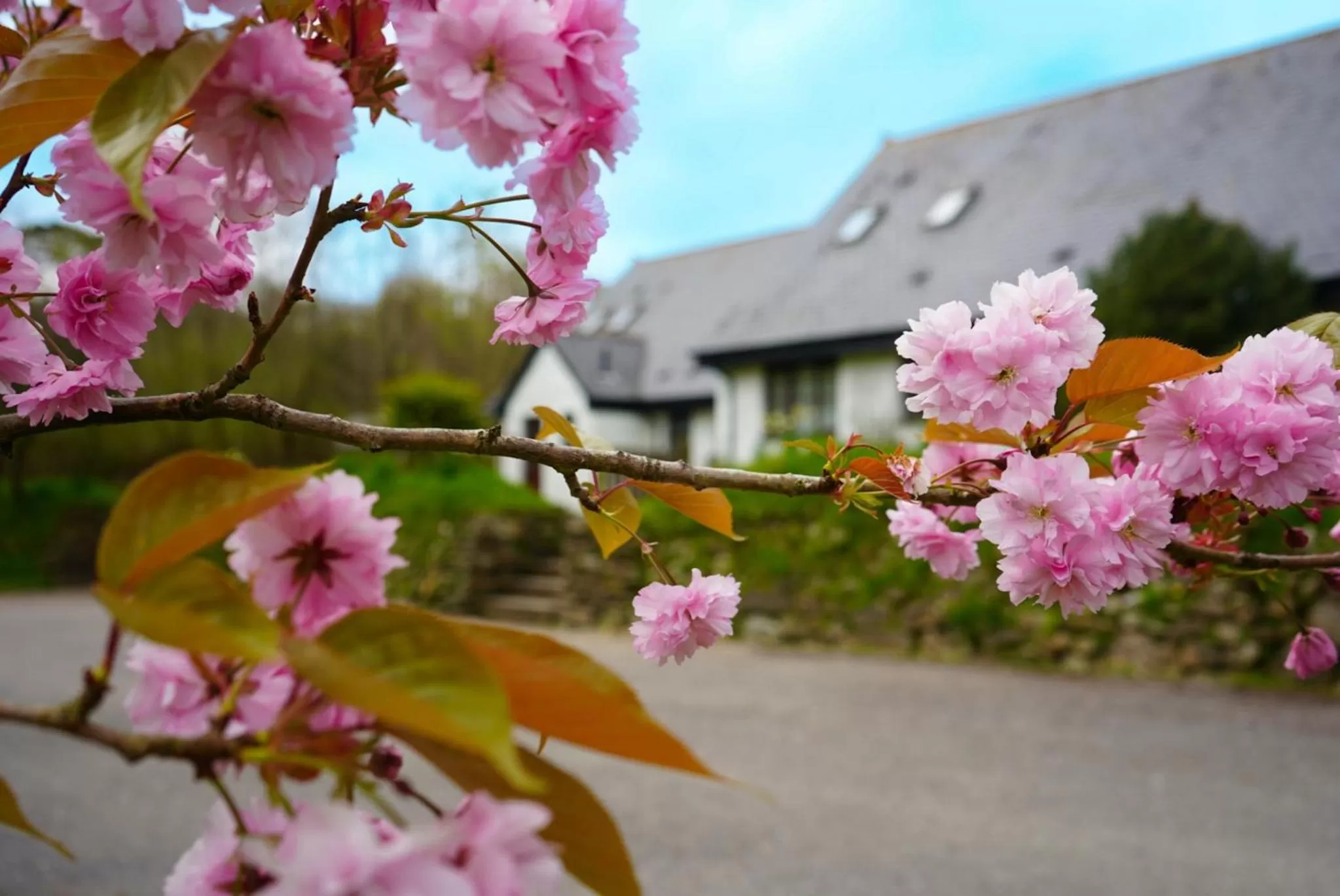 Property Building in Hustyns Resort Cornwall