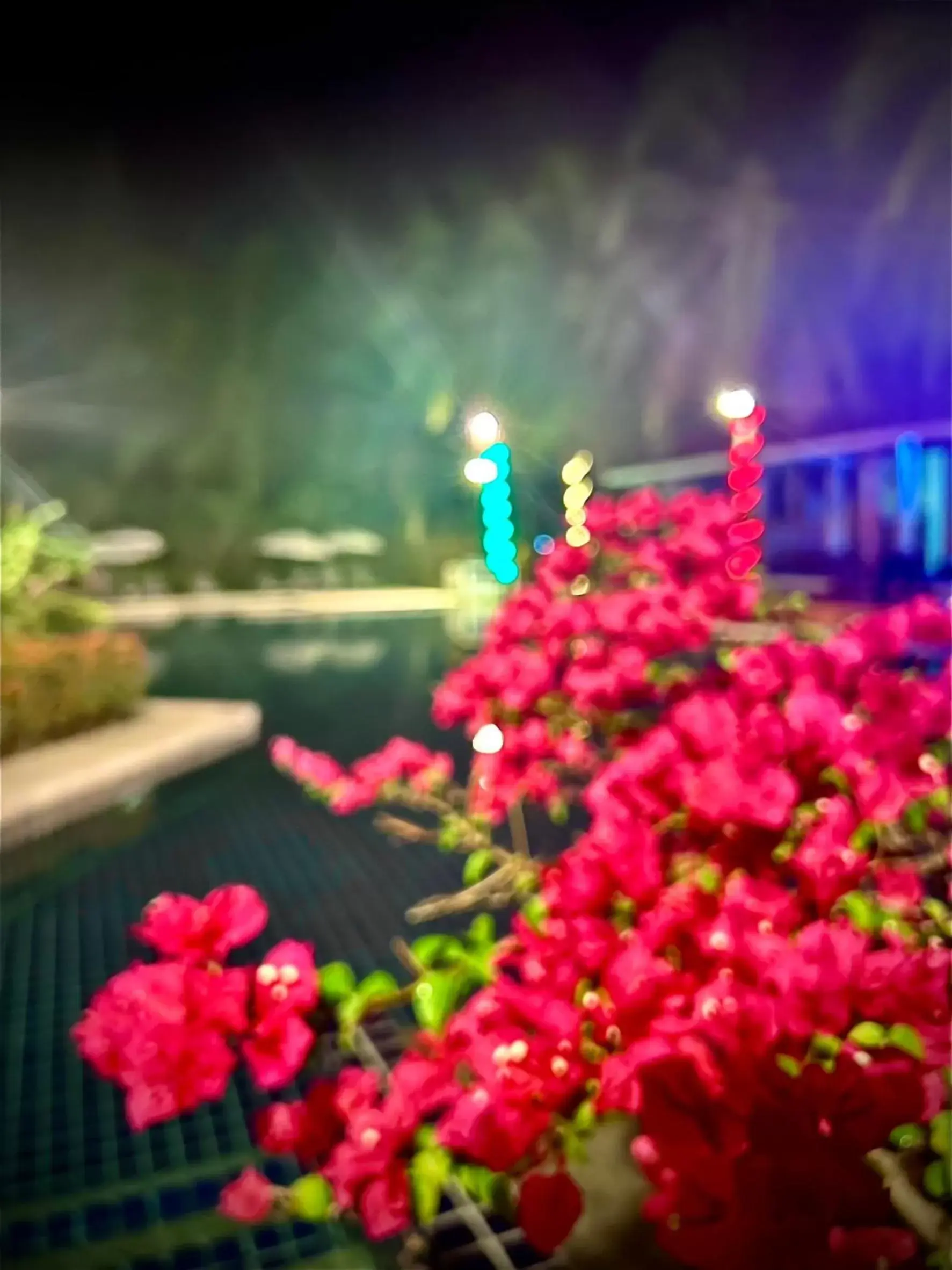 Swimming pool in Palm Galleria Resort Swimming pool in Palm Galleria Resort