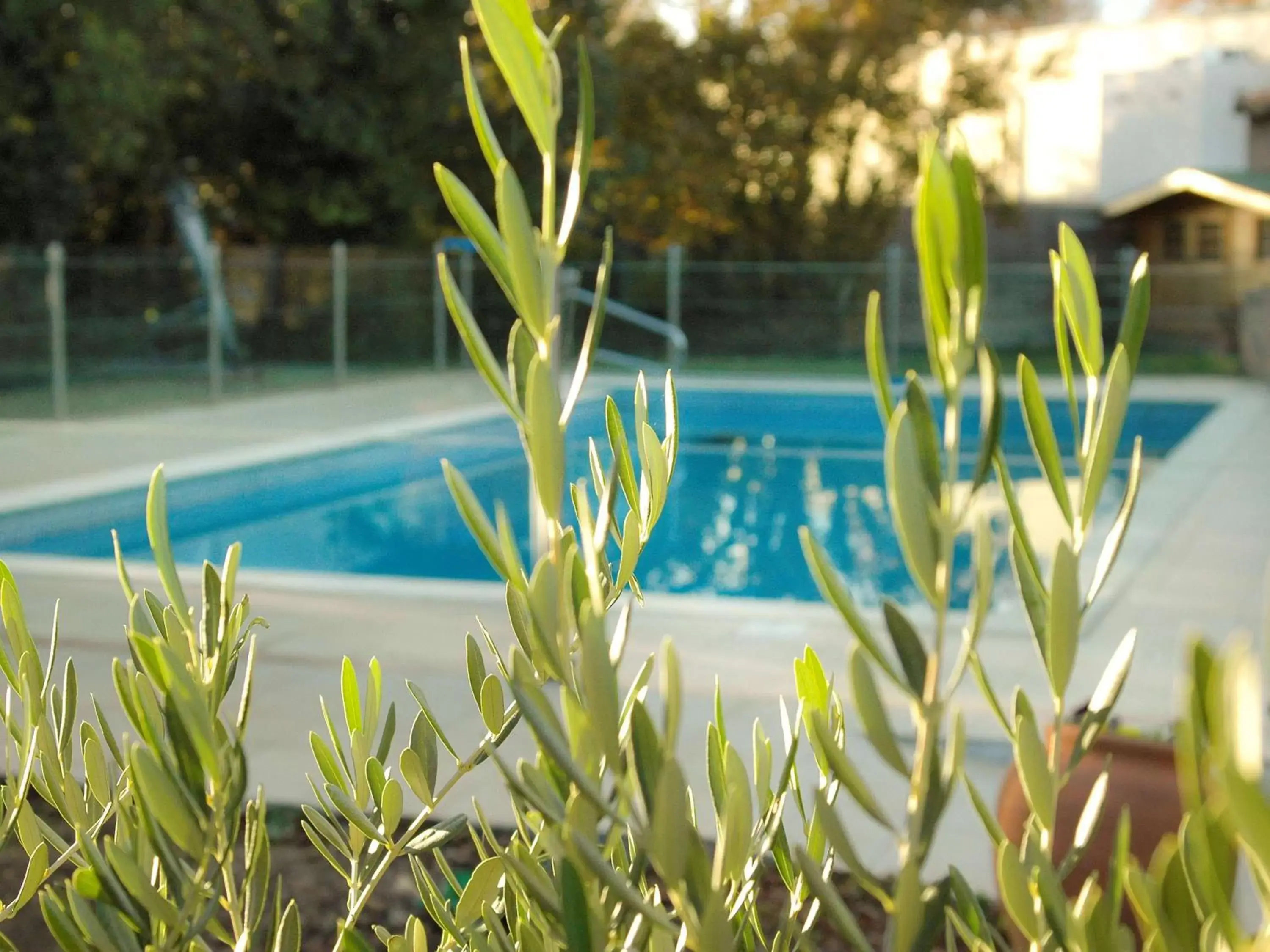 On site, Swimming Pool in ibis Salon de Provence