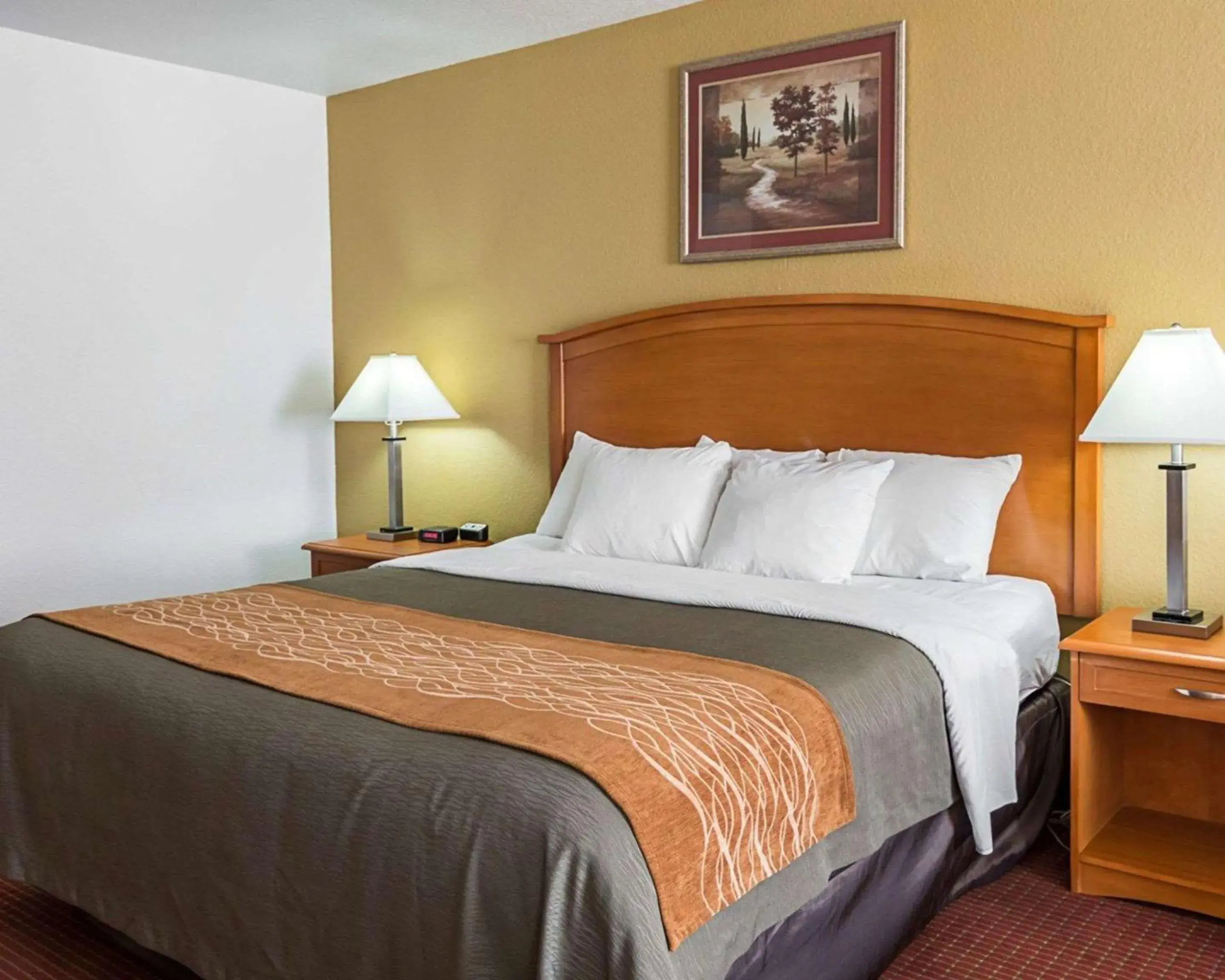 Photo of the whole room, Bed in Comfort Inn & Suites Chesapeake - Portsmouth