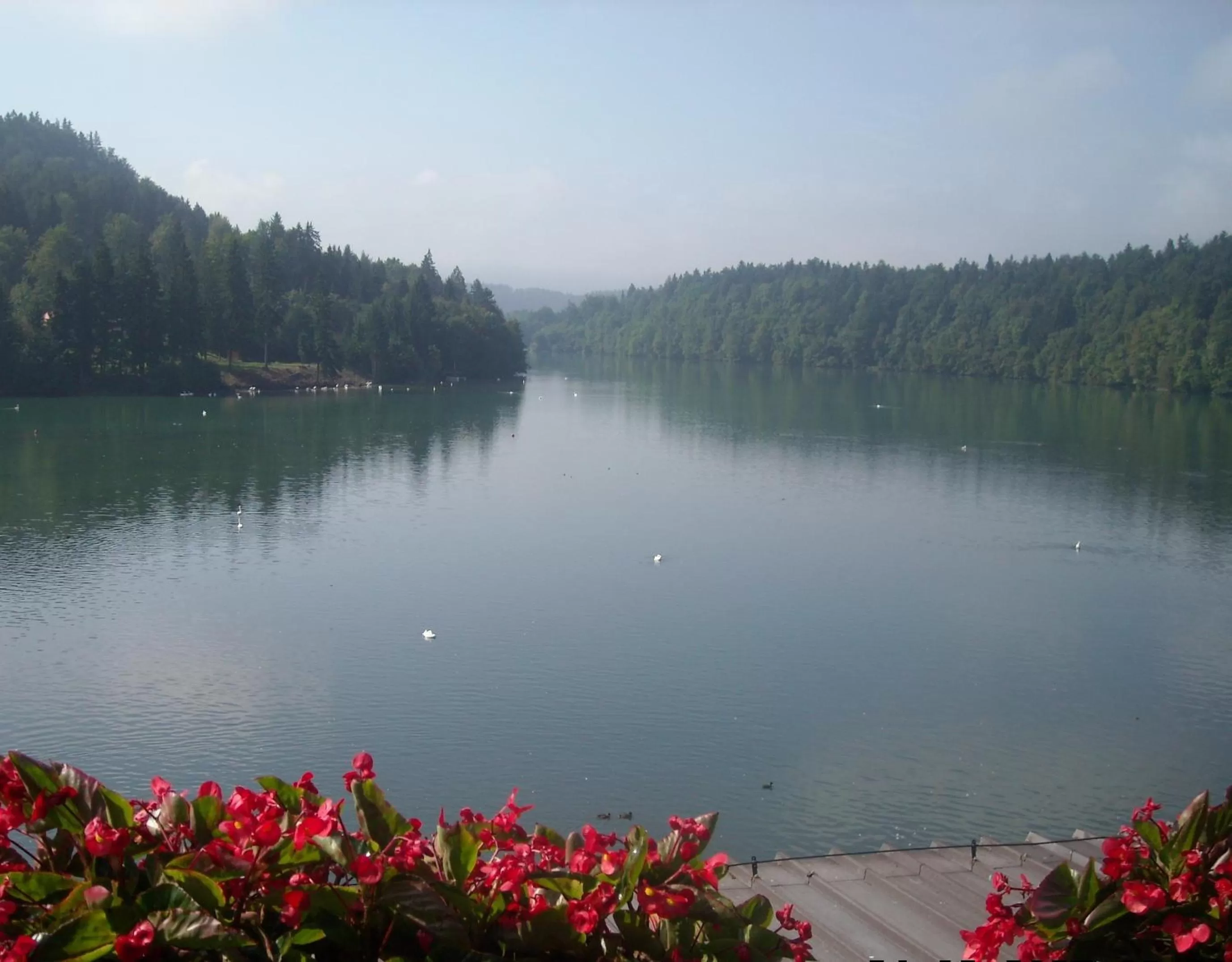 View (from property/room) in Gostisce Jezero
