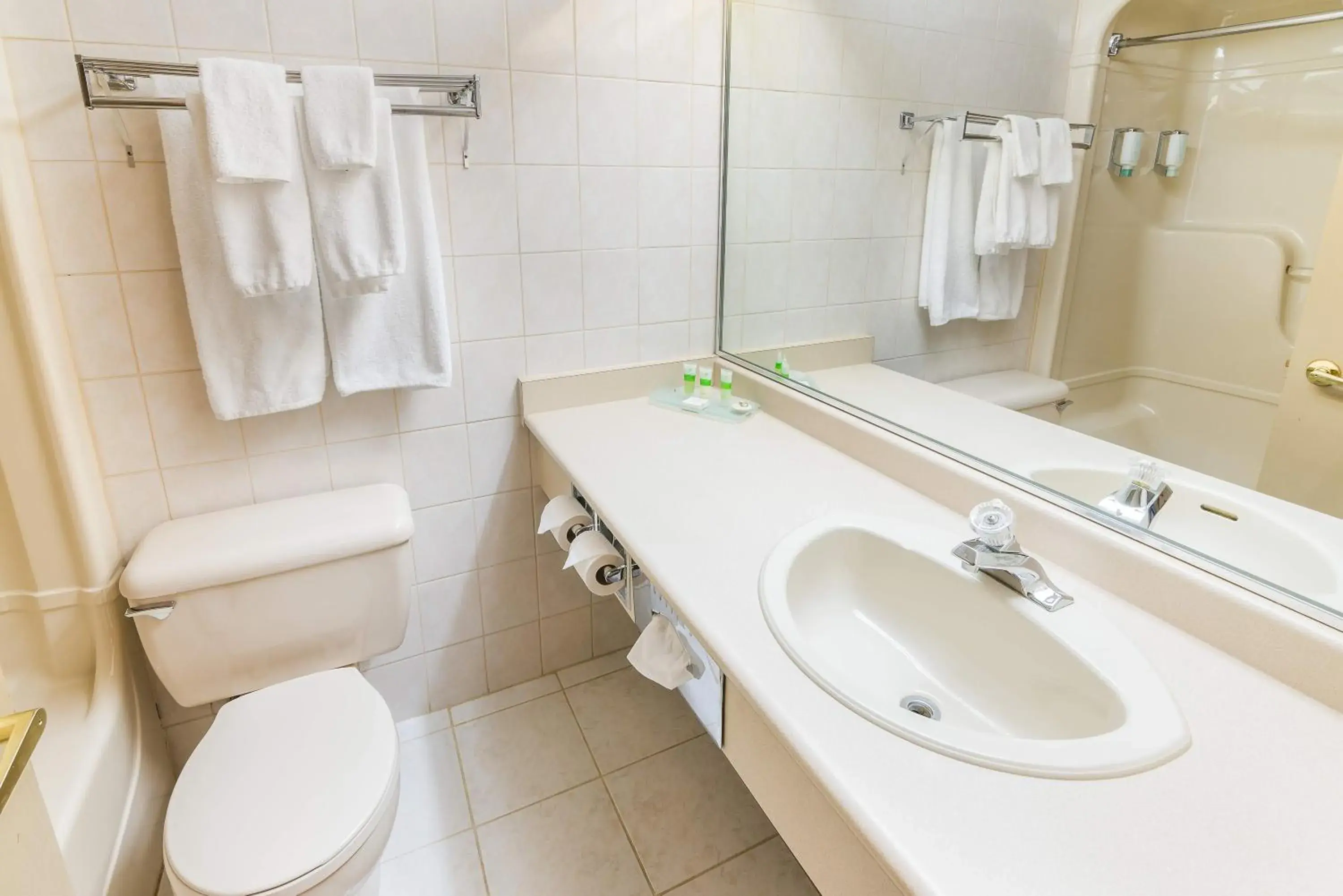Toilet, Bathroom in Ramada by Wyndham Thunder Bay Airlane Hotel