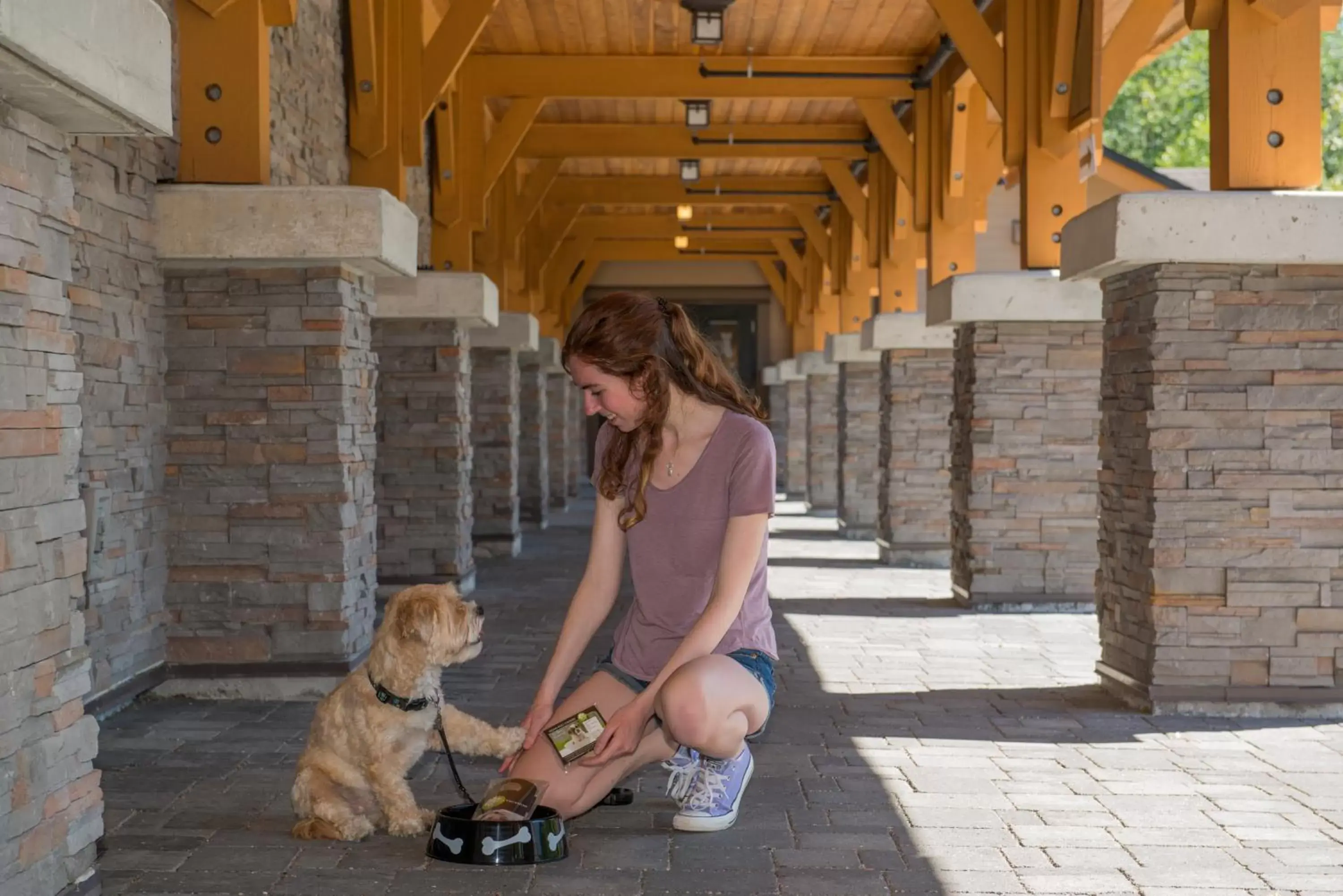 Pets in Executive Suites Hotel and Resort, Squamish