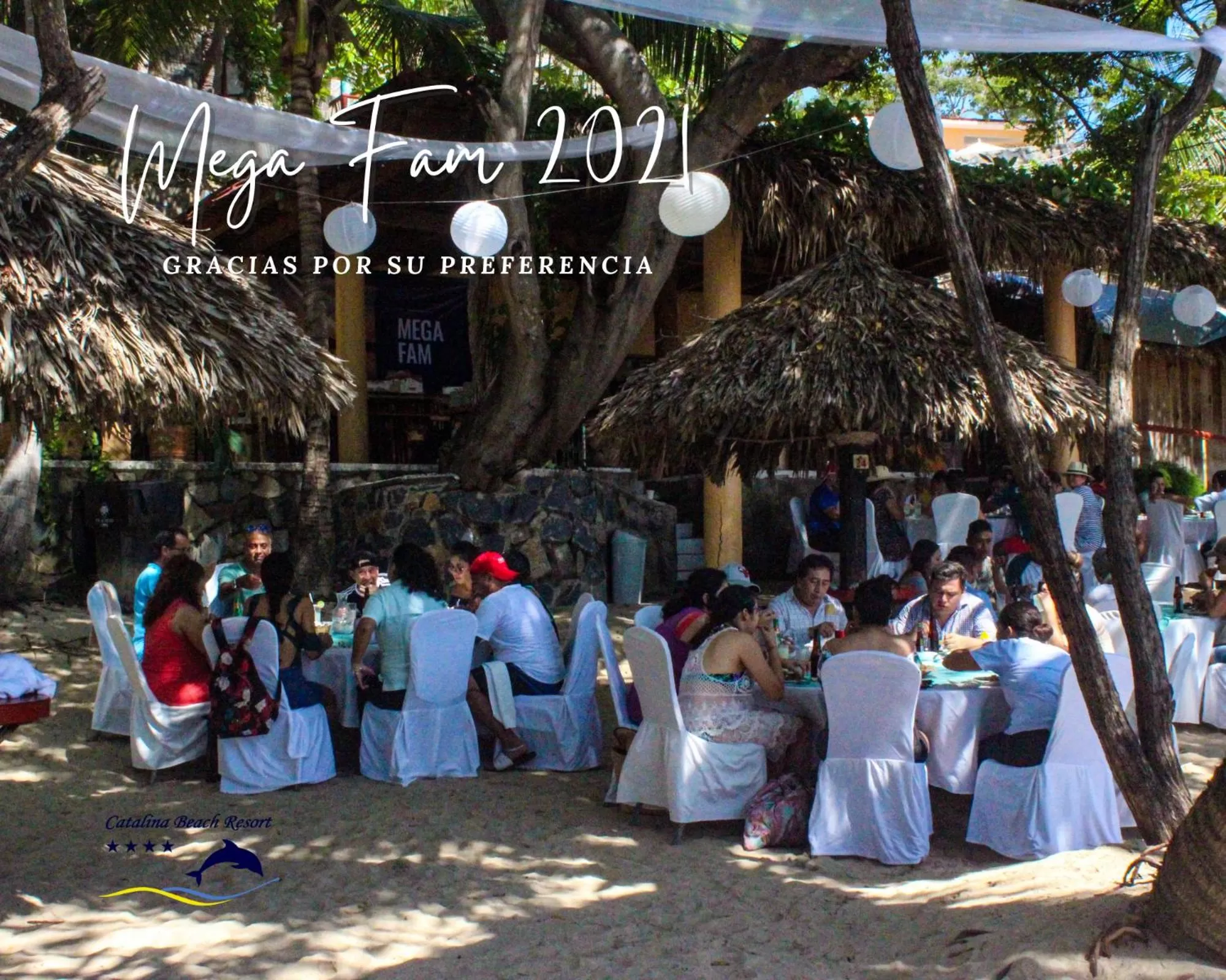 Beach in Hotel Catalina Beach Resort