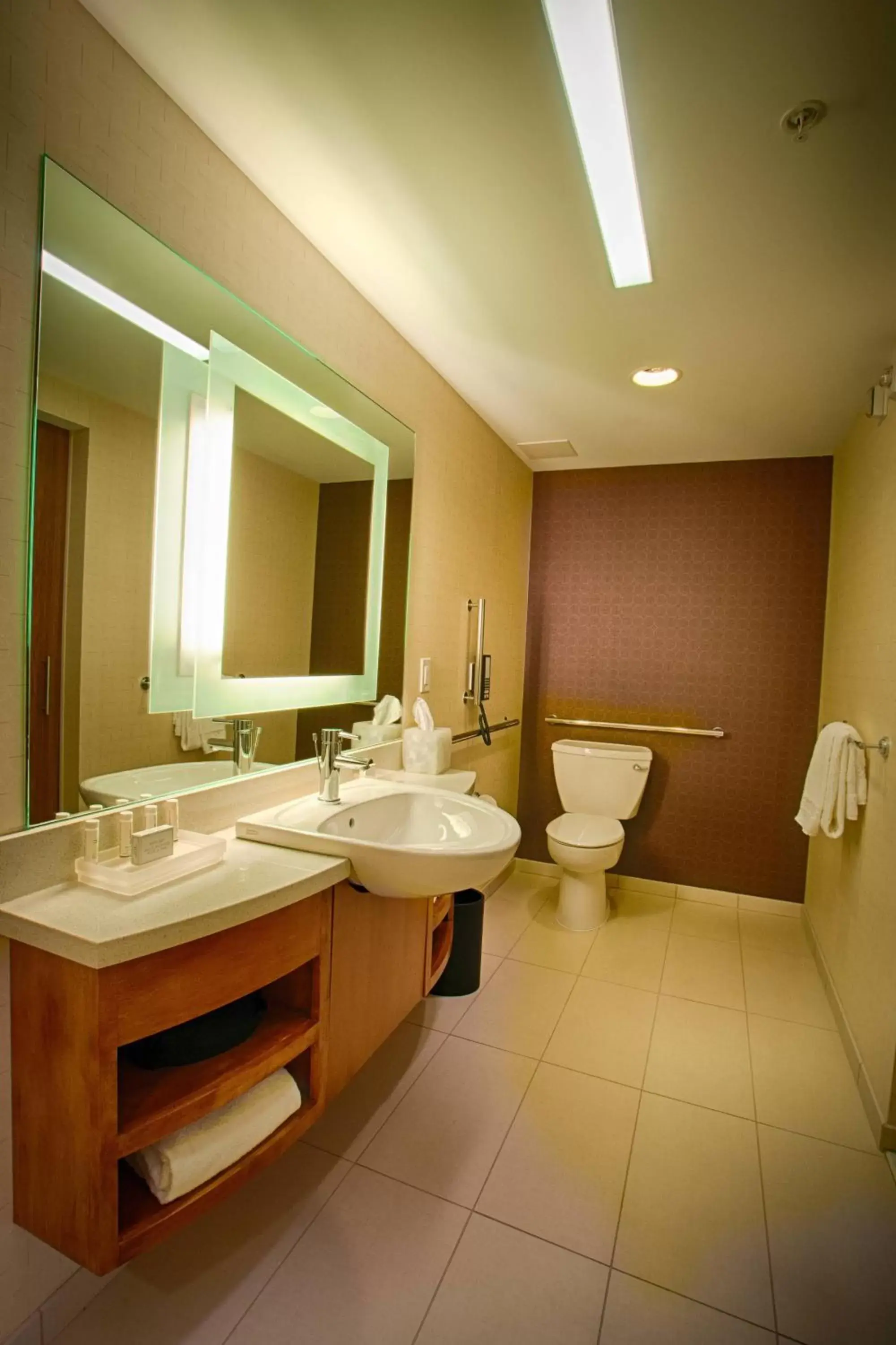 Bathroom in SpringHill Suites by Marriott Canton