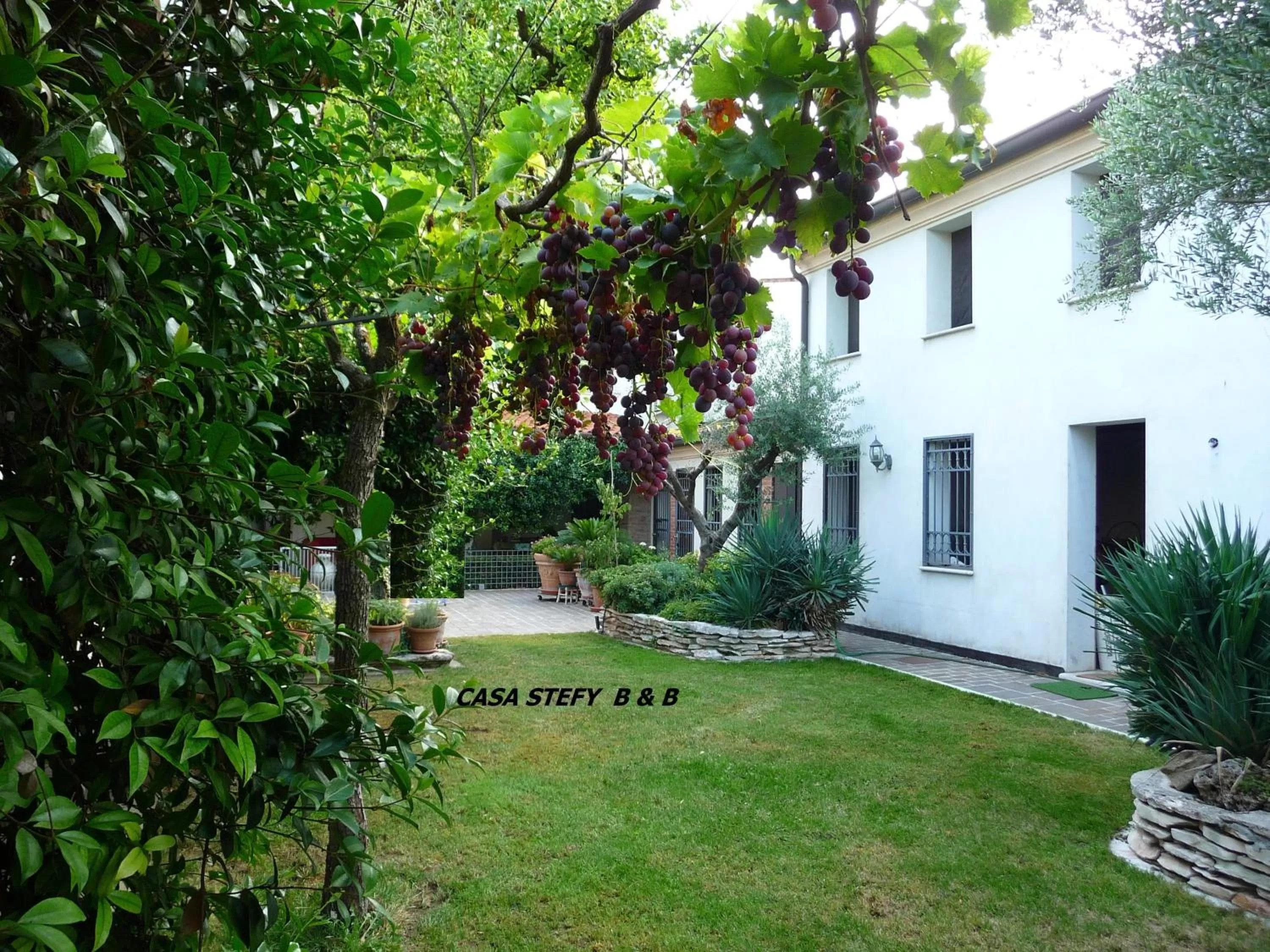 Garden in Casa Stefy