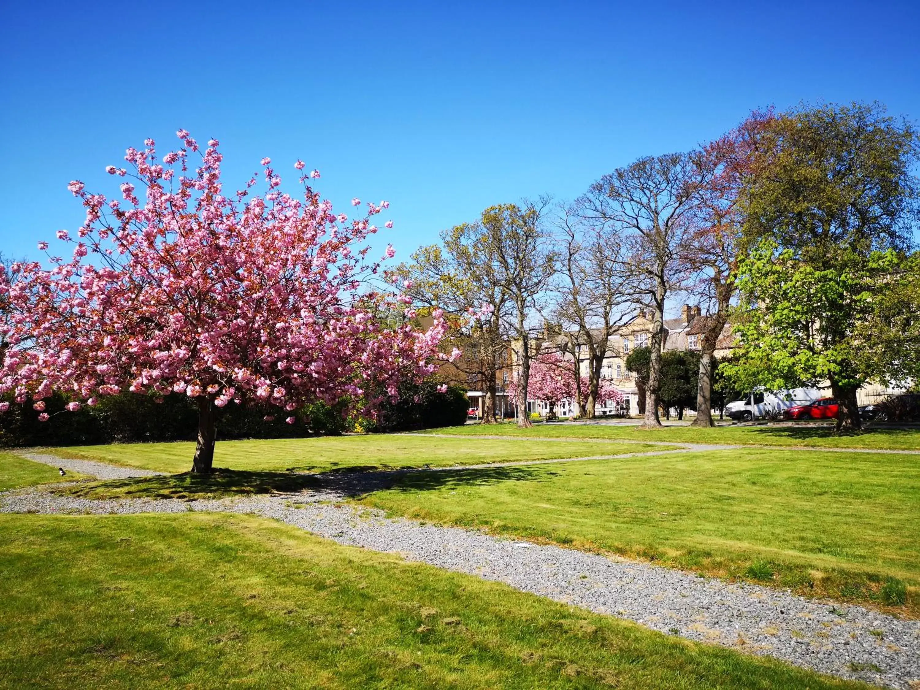 Garden in Endsleigh Park