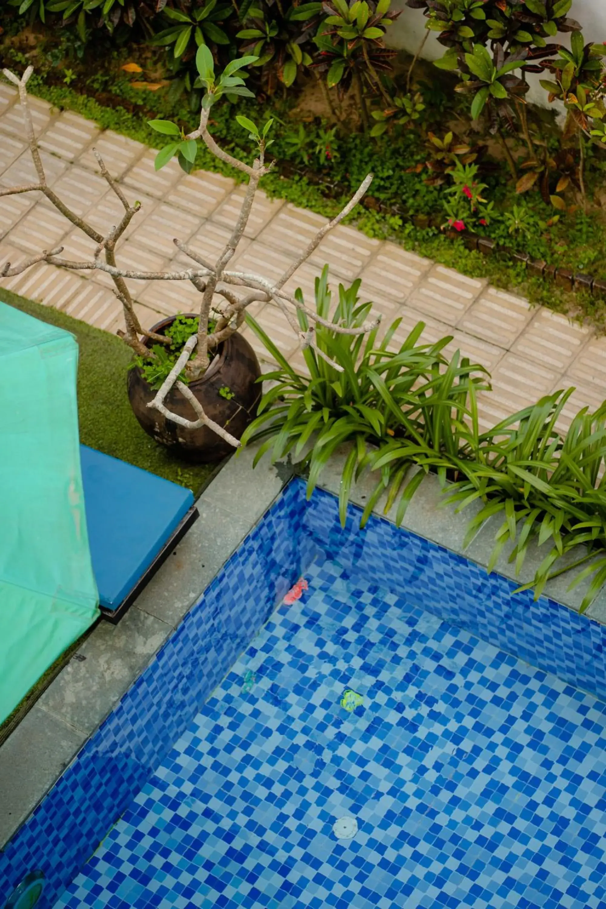 Pool view, Swimming Pool in Trendy Life Villa