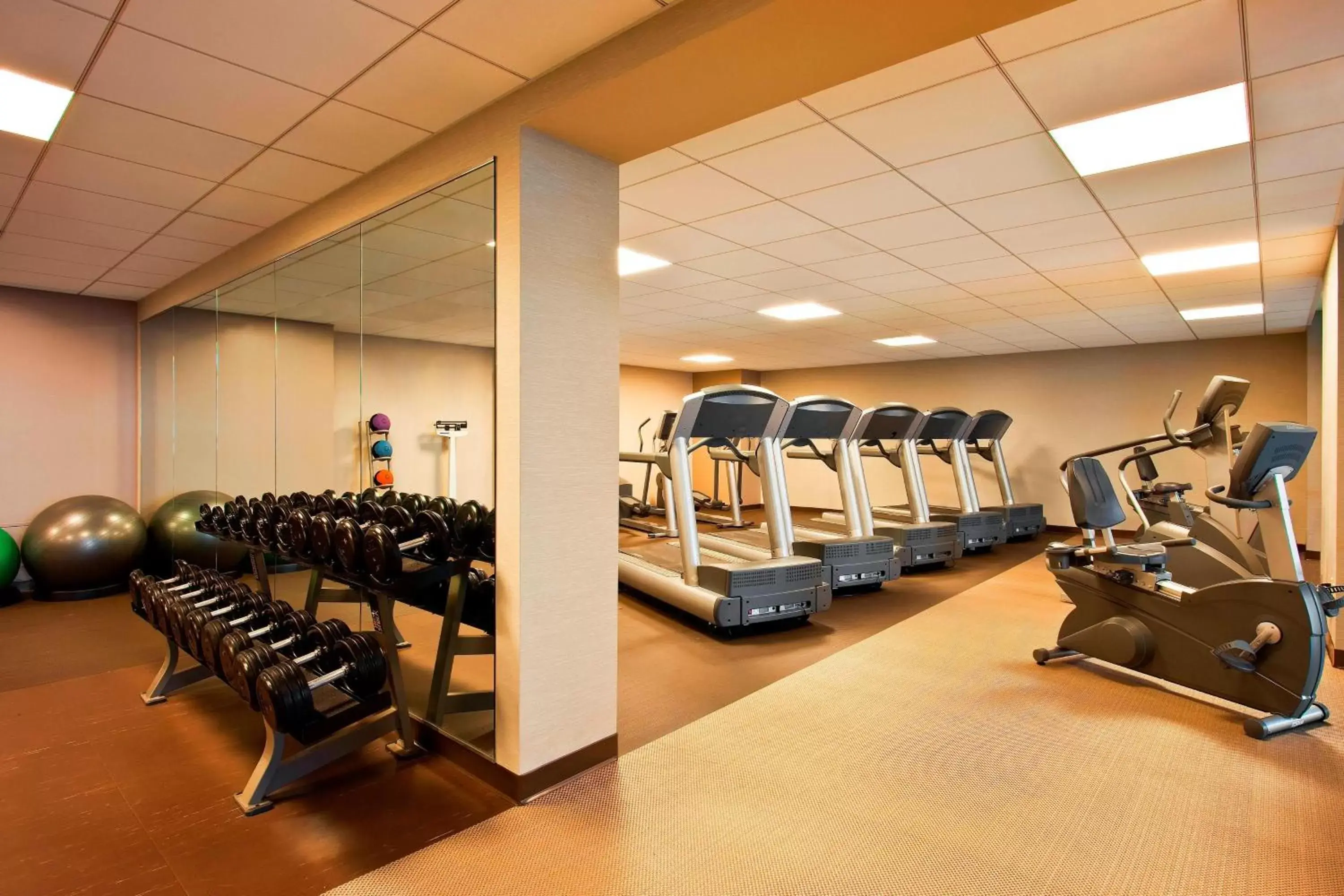 Fitness centre/facilities, Fitness Center/Facilities in The Westin Chicago Lombard