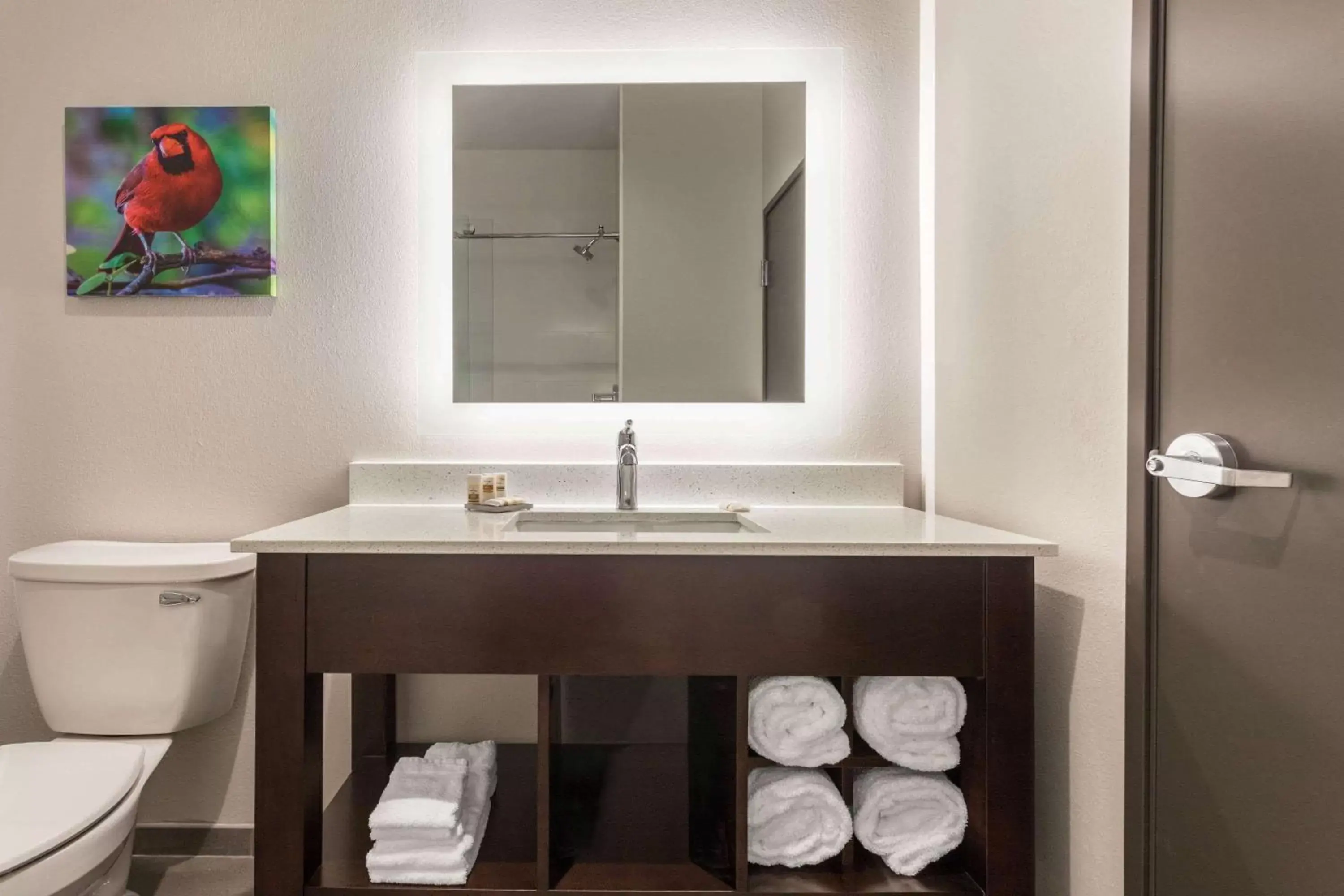 Bathroom in La Quinta Inn and Suites by Wyndham Bloomington