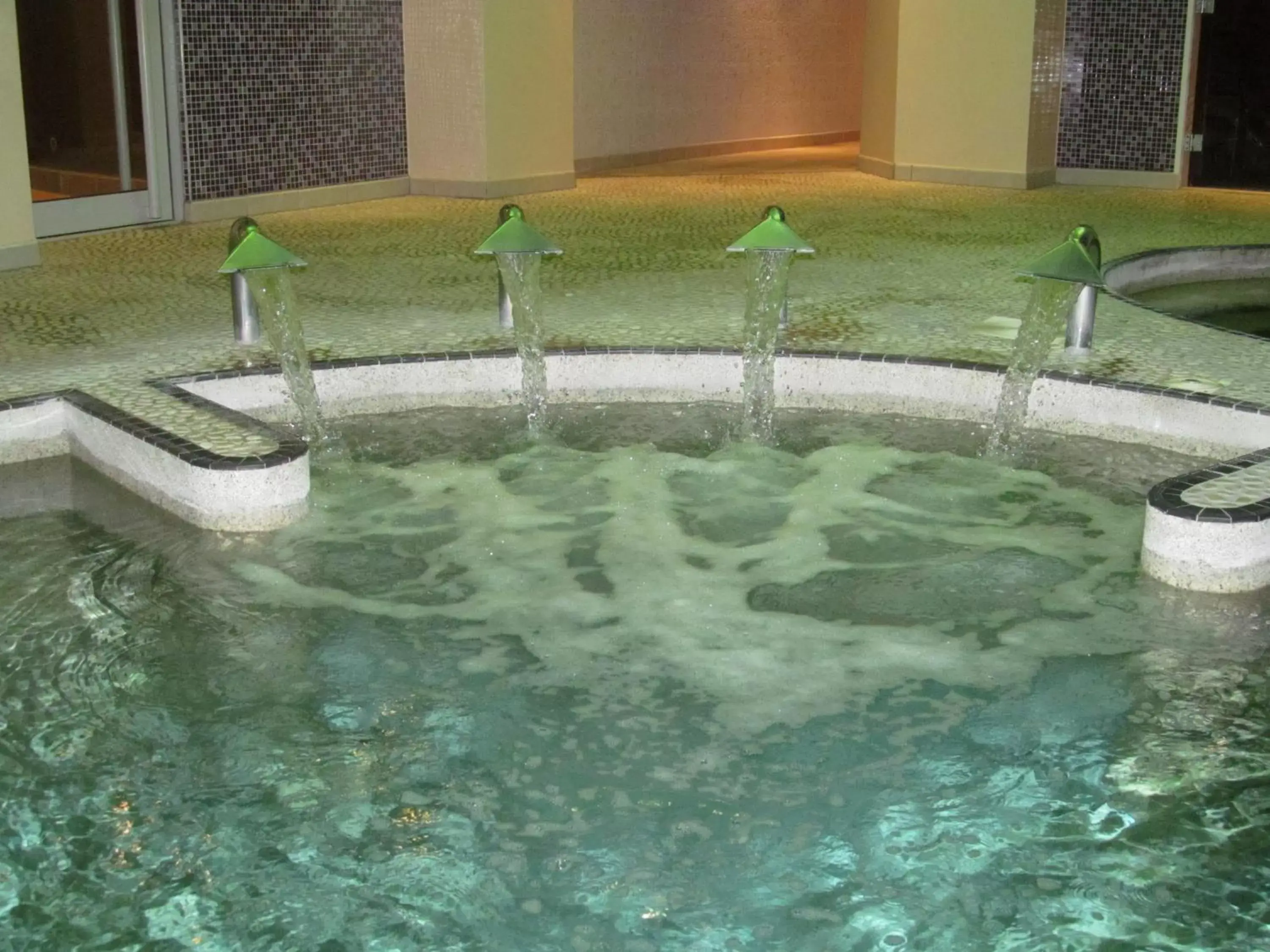 Spa and wellness centre/facilities, Swimming Pool in Wild Pheasant Hotel & Spa