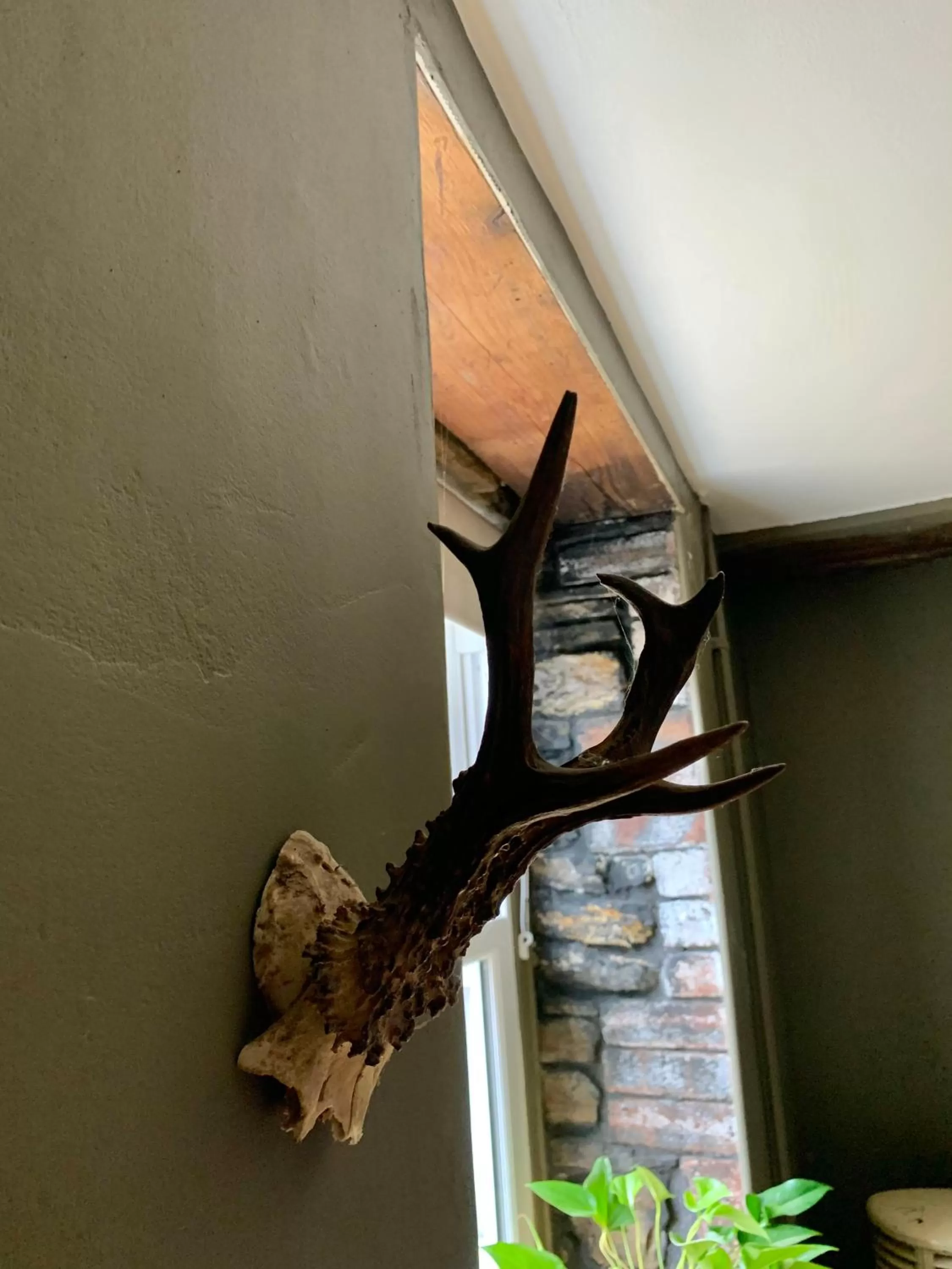 Decorative detail in Efail Y Garn