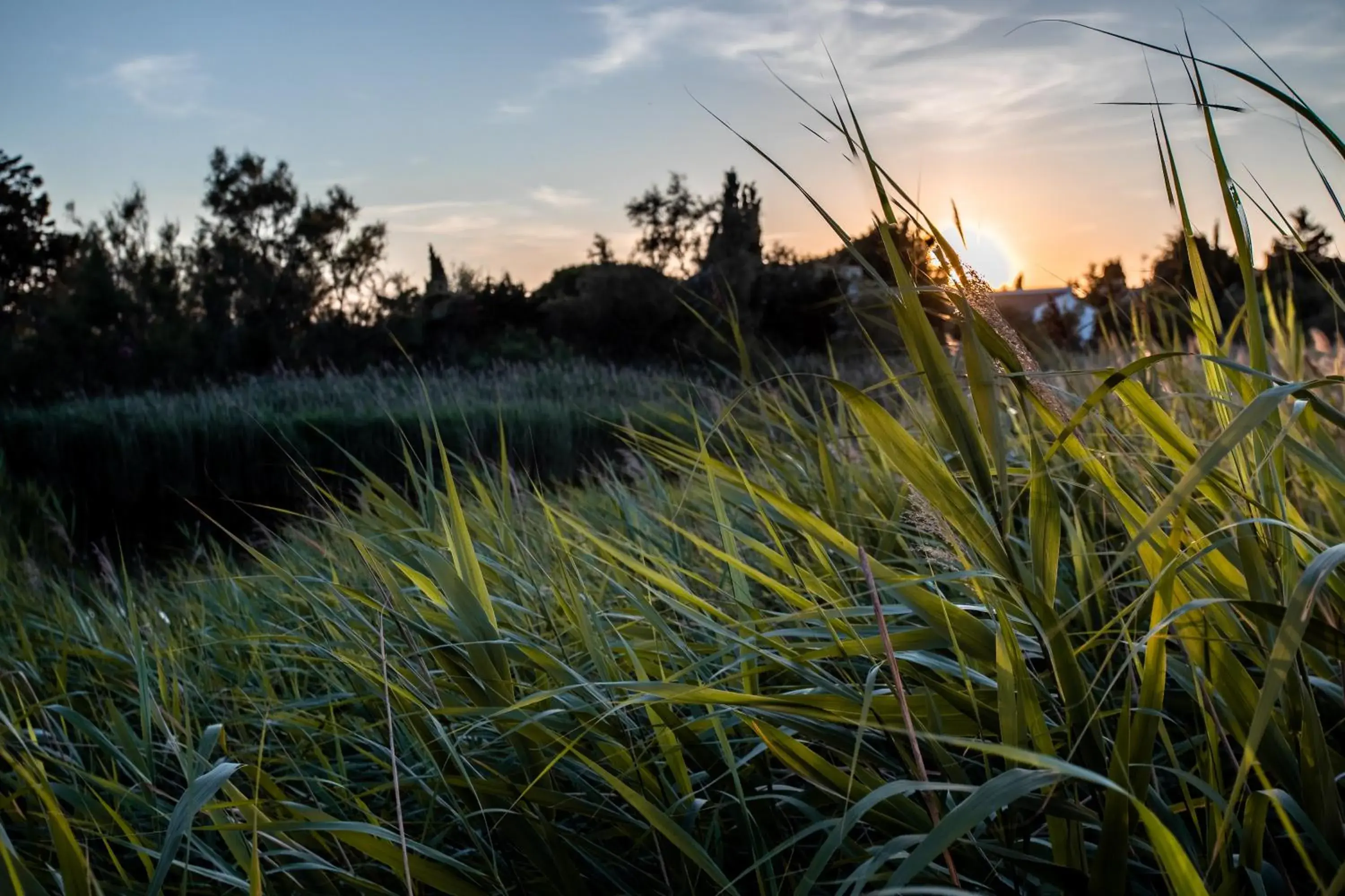 Sunrise/Sunset in Le Mas de Cocagne