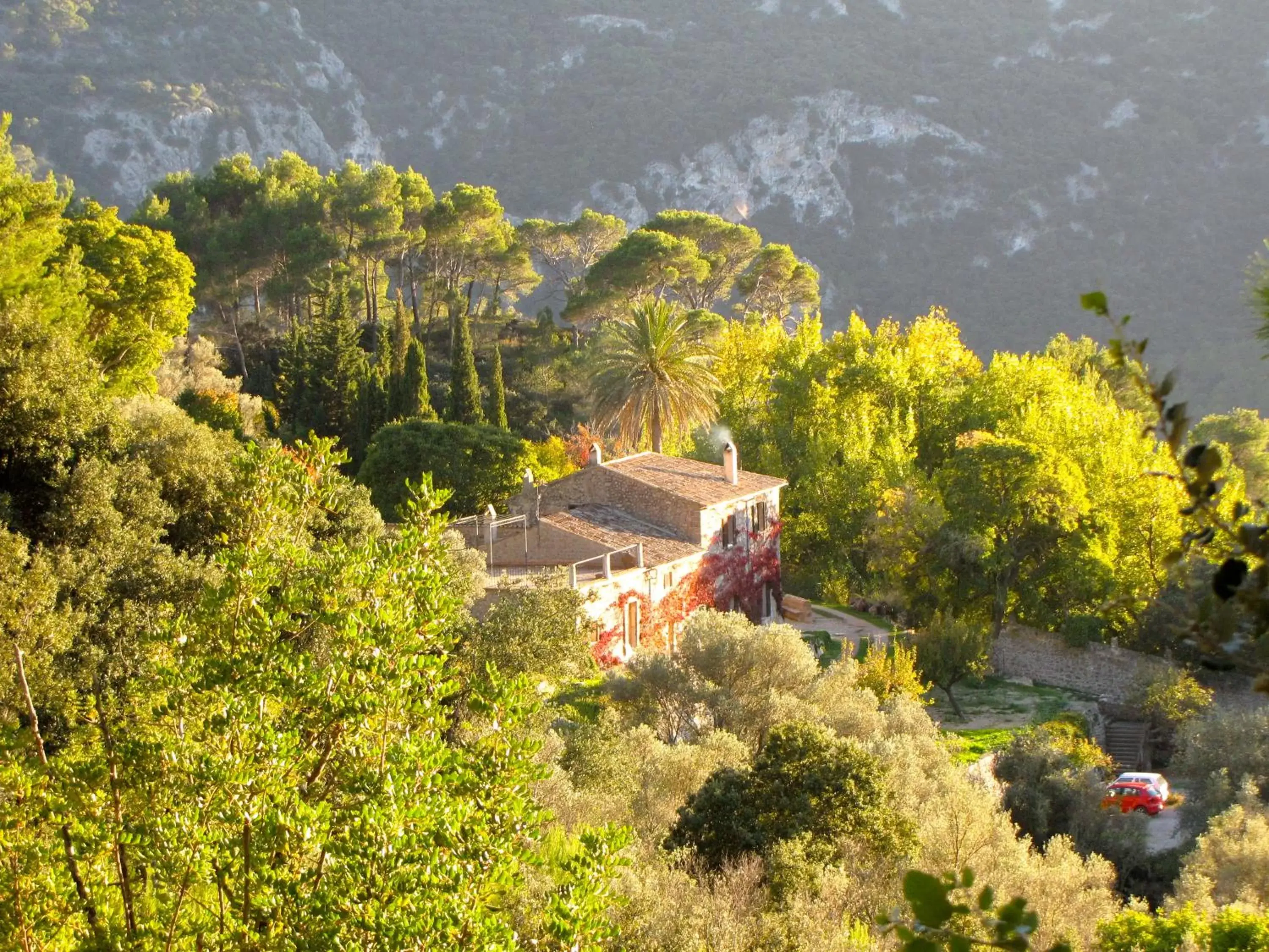 Day in Mirabó de Valldemossa