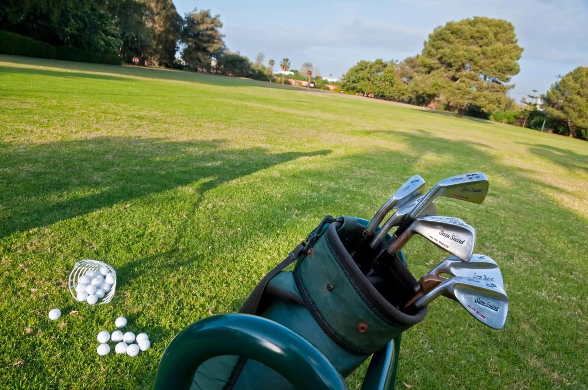 Golfcourse, Garden in Novotel Poissy Orgeval