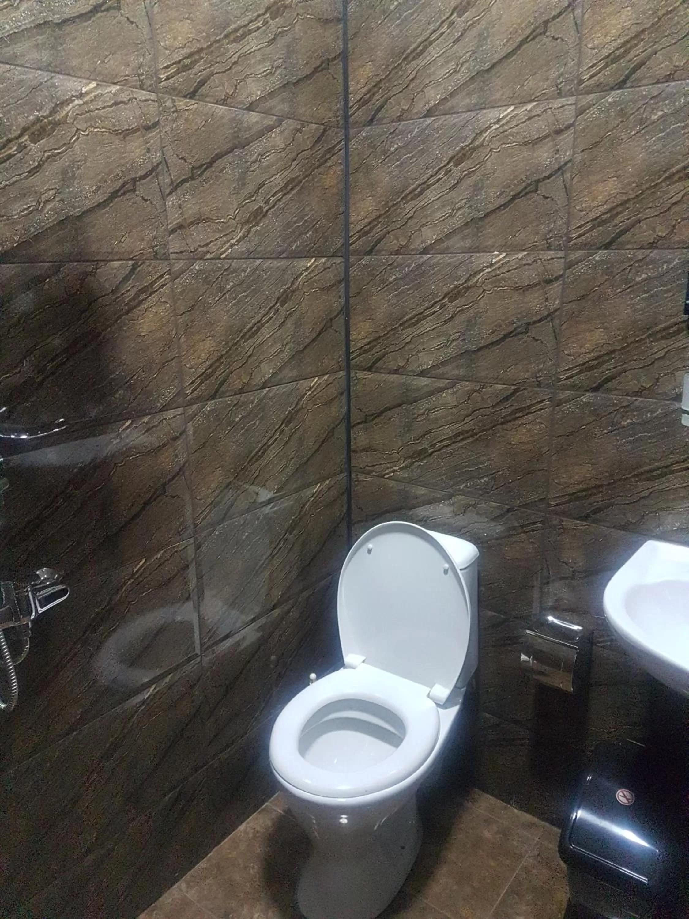 Bathroom in Hotel LEADER