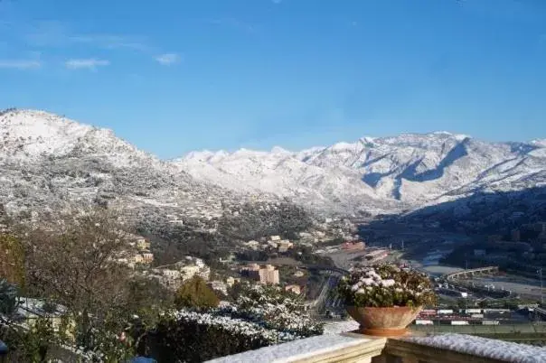 Winter in La tana del tasso Ventimiglia