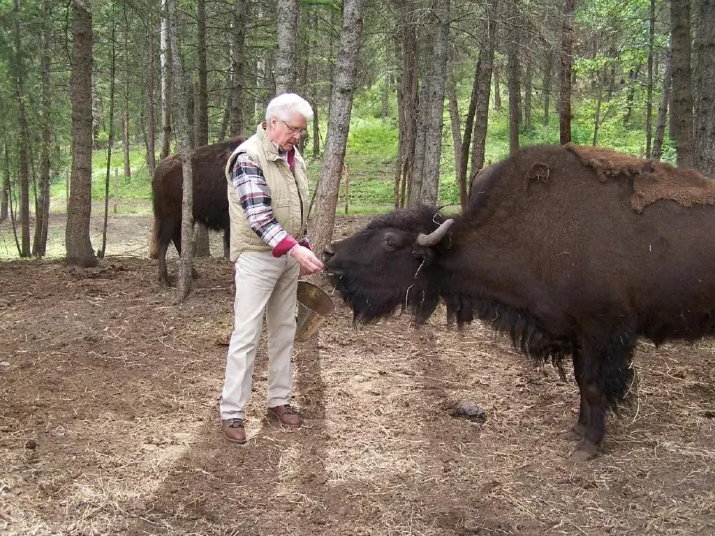 People, Other Animals in Lonesome Dove Ranch