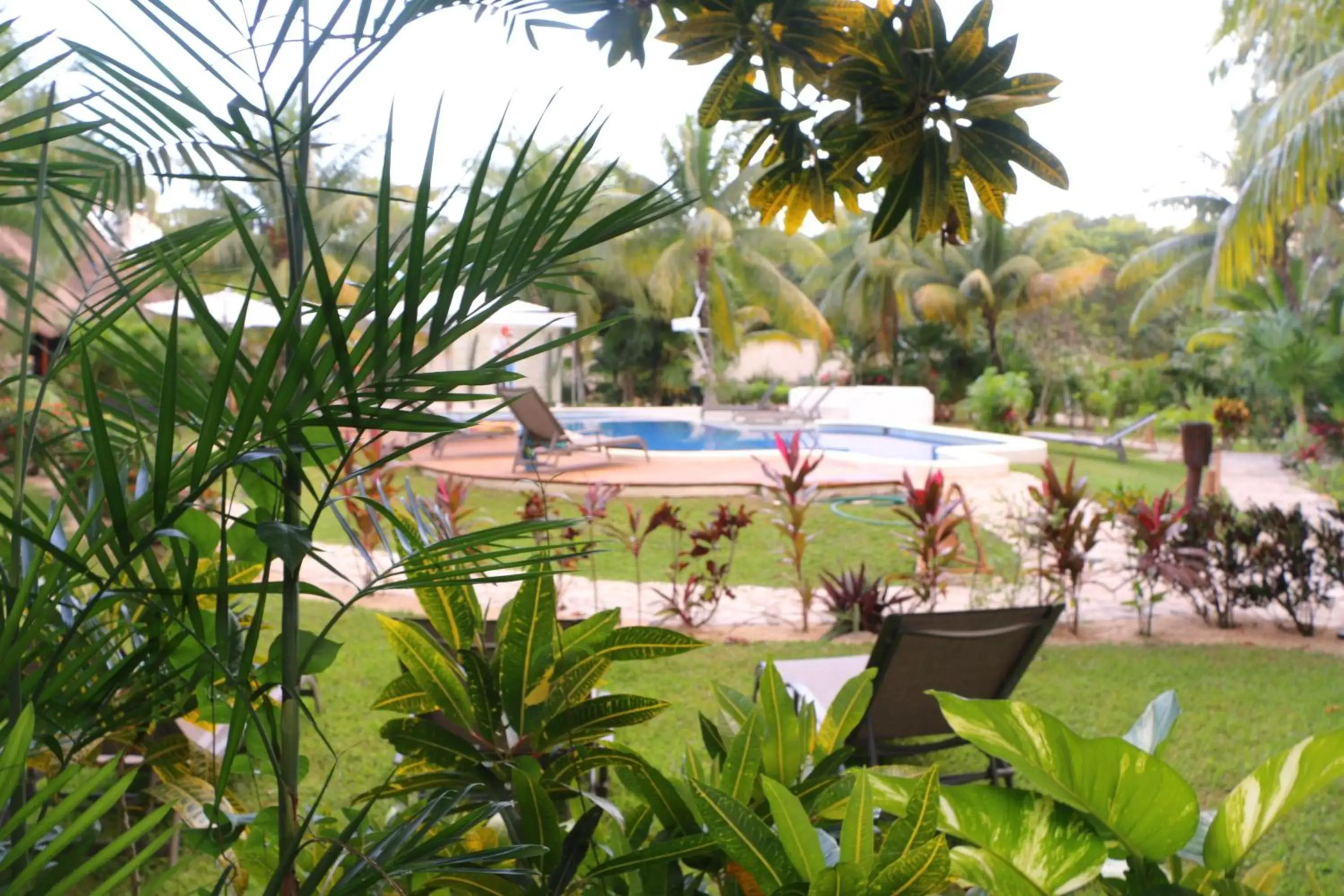 Garden view, Swimming Pool in WishTulum