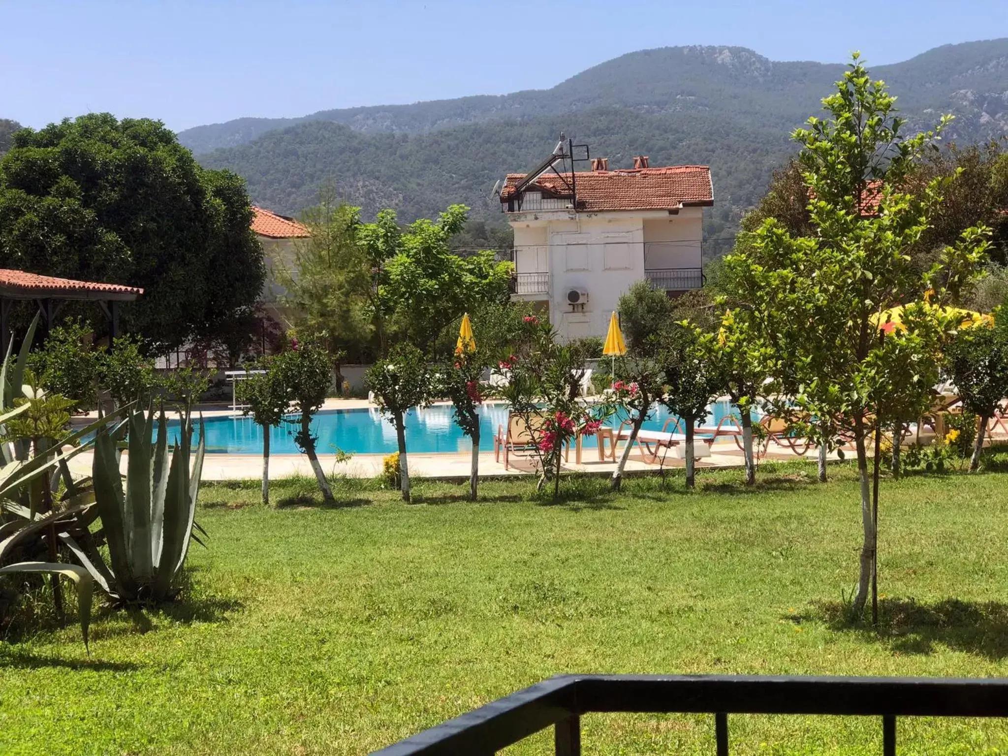 Garden, Swimming Pool in Hotel Palme Dalyan