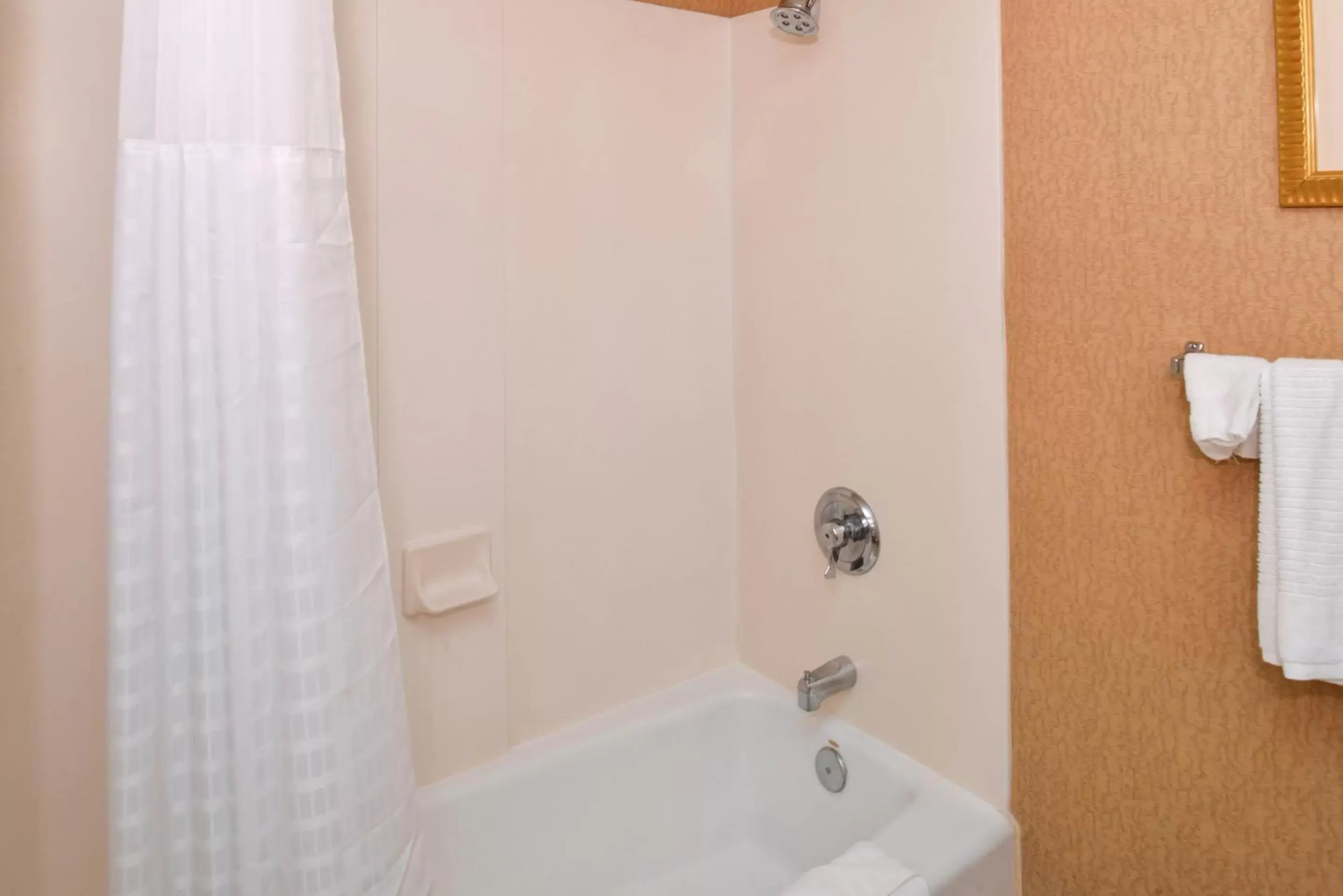 Shower, Bathroom in Comfort Inn & Suites