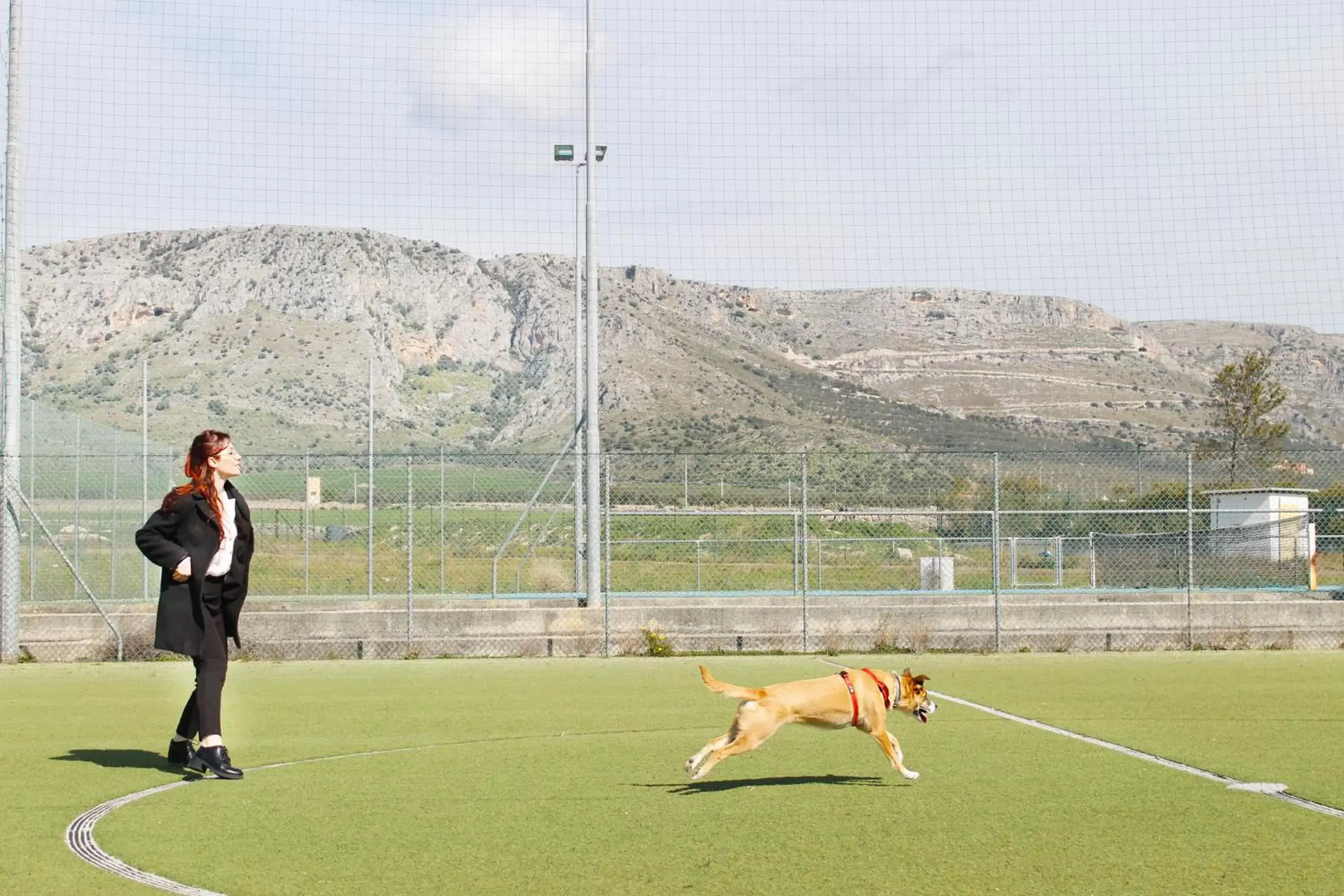 Pets, Other Activities in Regiohotel Manfredi