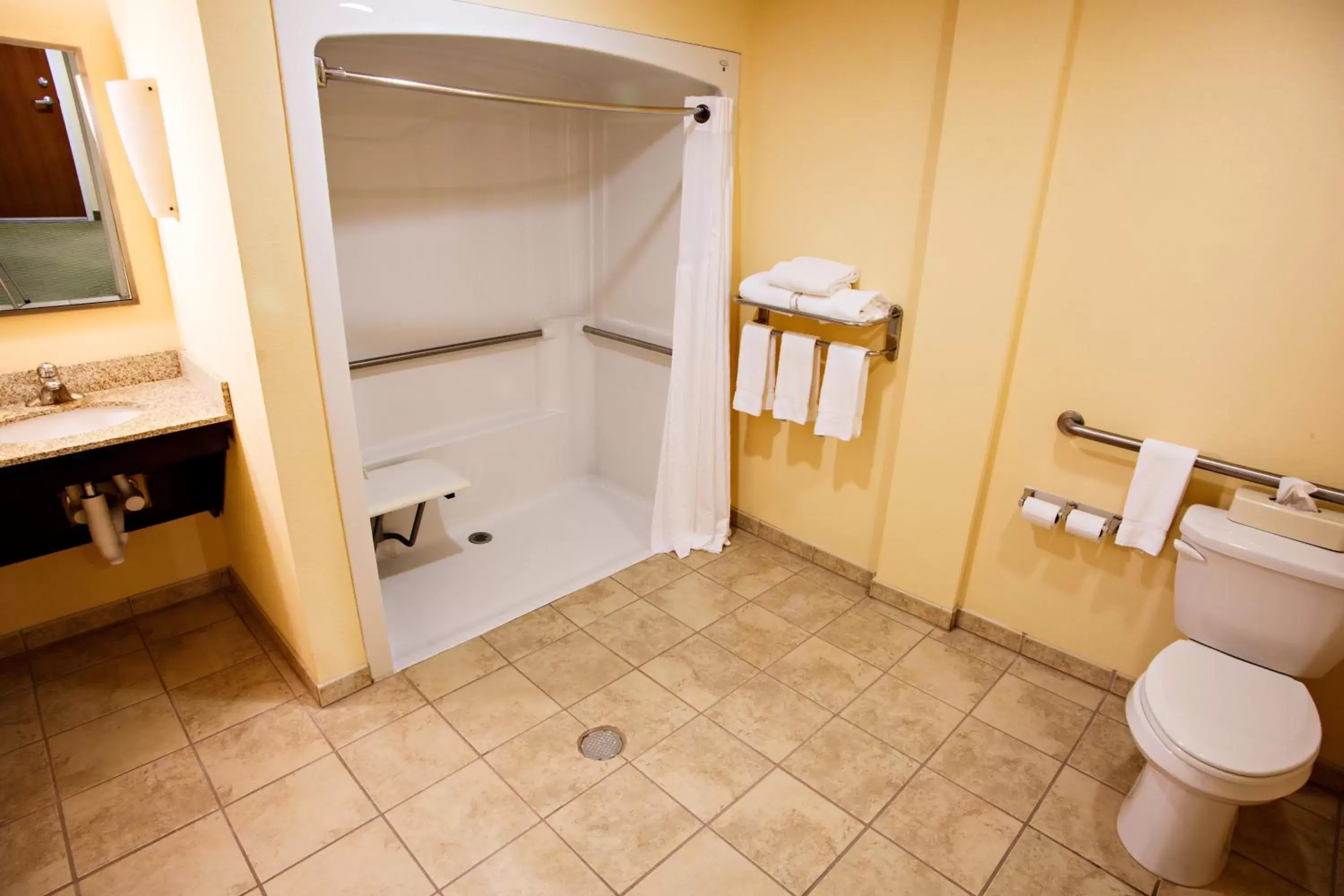 Bathroom in Holiday Inn Express Harrisburg West, an IHG Hotel